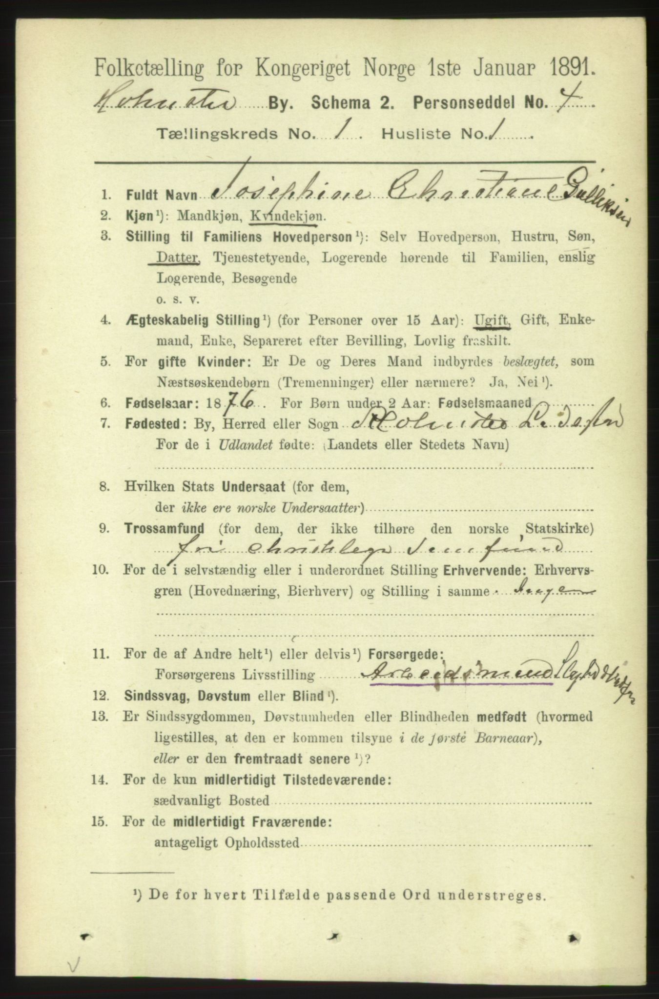 RA, 1891 census for 0603 Holmsbu, 1891, p. 209