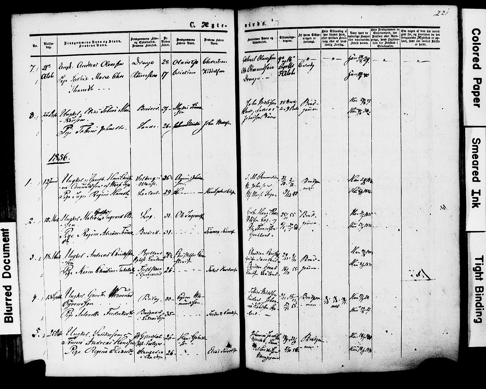 Herad sokneprestkontor, AV/SAK-1111-0018/F/Fa/Faa/L0005: Parish register (official) no. A 5, 1853-1886, p. 221