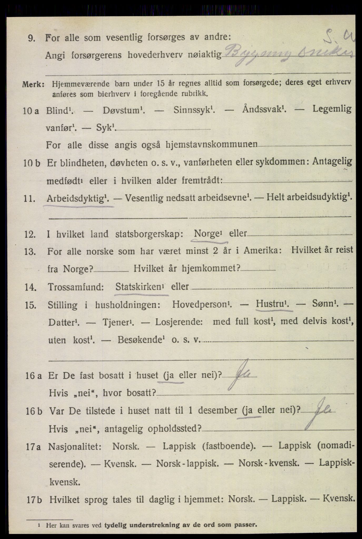 SAT, 1920 census for Fauske, 1920, p. 10119