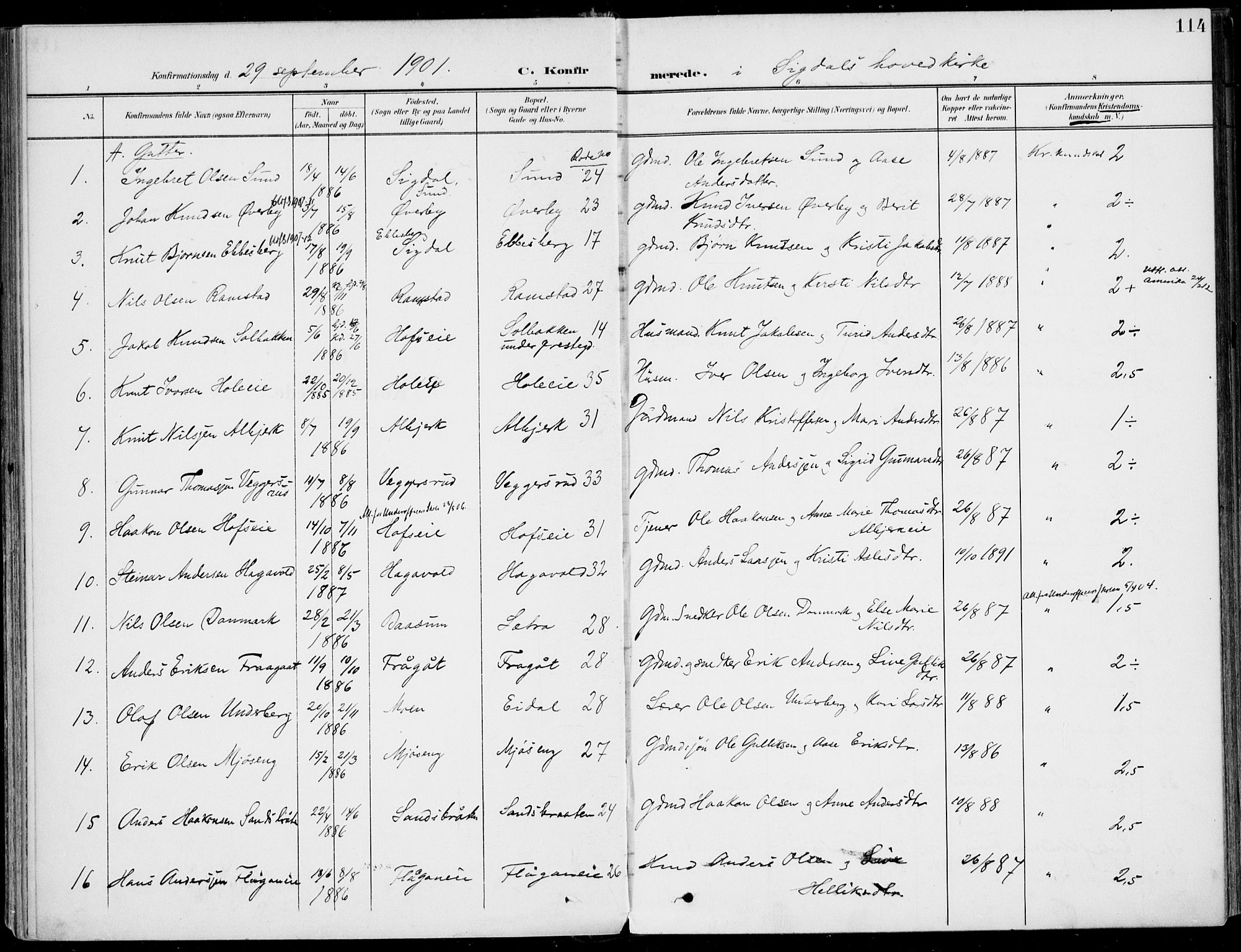 Sigdal kirkebøker, AV/SAKO-A-245/F/Fb/L0002: Parish register (official) no. II 2, 1901-1914, p. 114