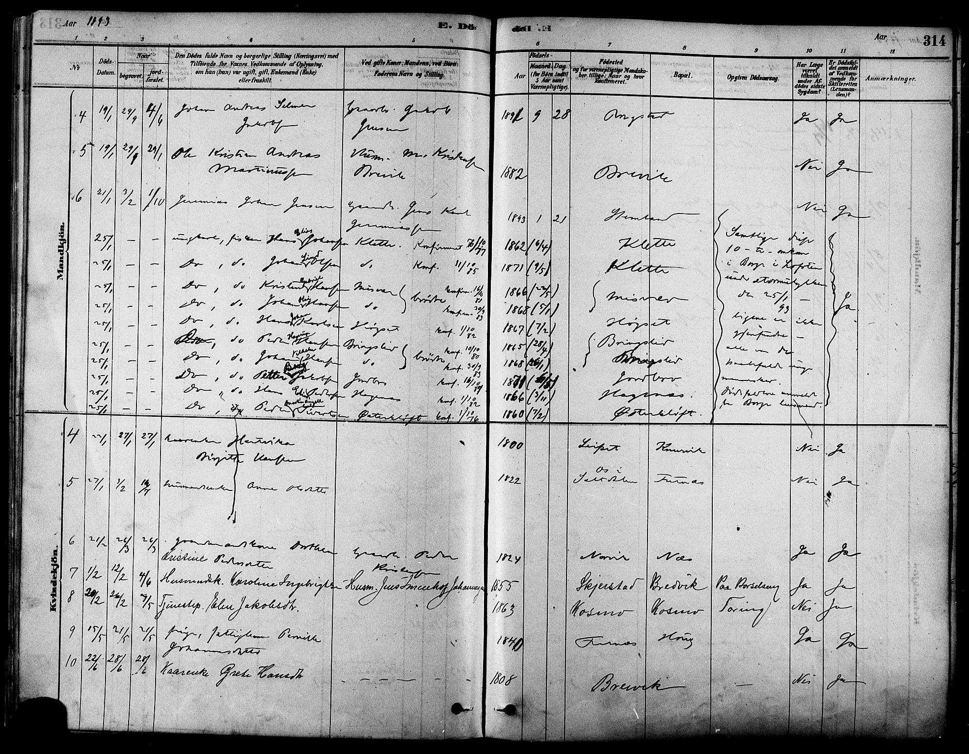 Ministerialprotokoller, klokkerbøker og fødselsregistre - Nordland, AV/SAT-A-1459/852/L0740: Parish register (official) no. 852A10, 1878-1894, p. 314