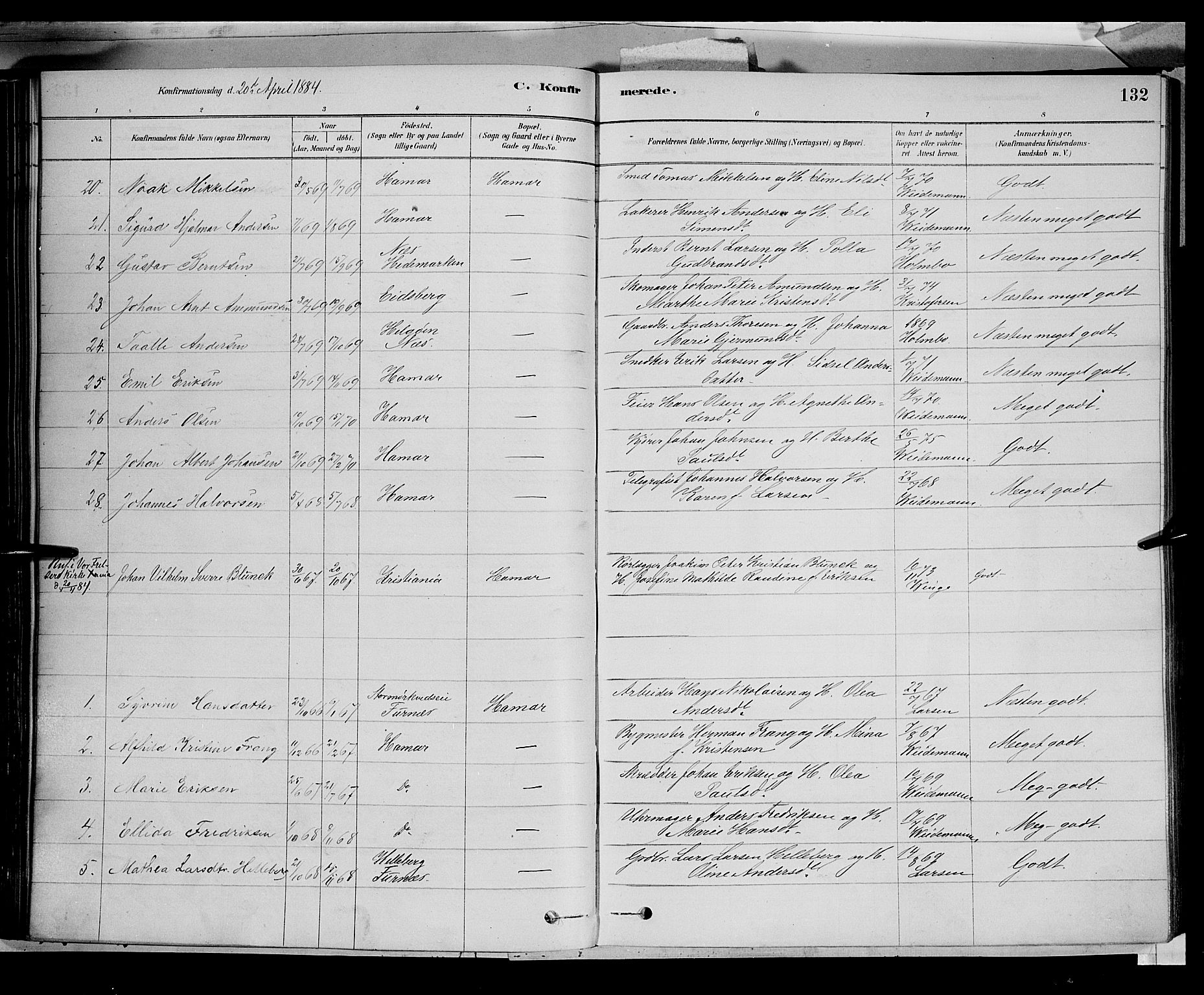 Vang prestekontor, Hedmark, AV/SAH-PREST-008/H/Ha/Haa/L0016: Parish register (official) no. 16, 1878-1889, p. 132