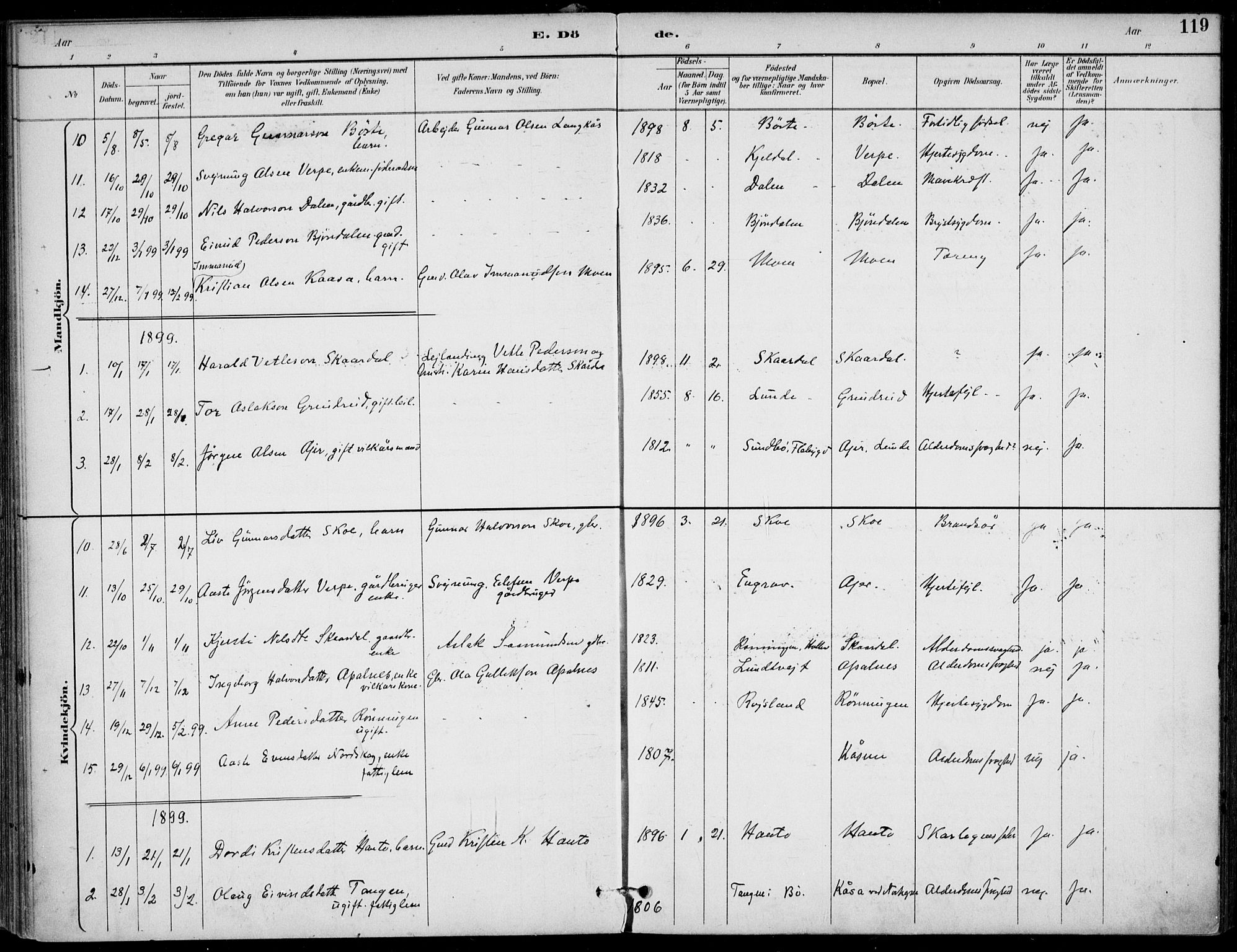 Lunde kirkebøker, SAKO/A-282/F/Fa/L0003: Parish register (official) no. I 3, 1893-1902, p. 119