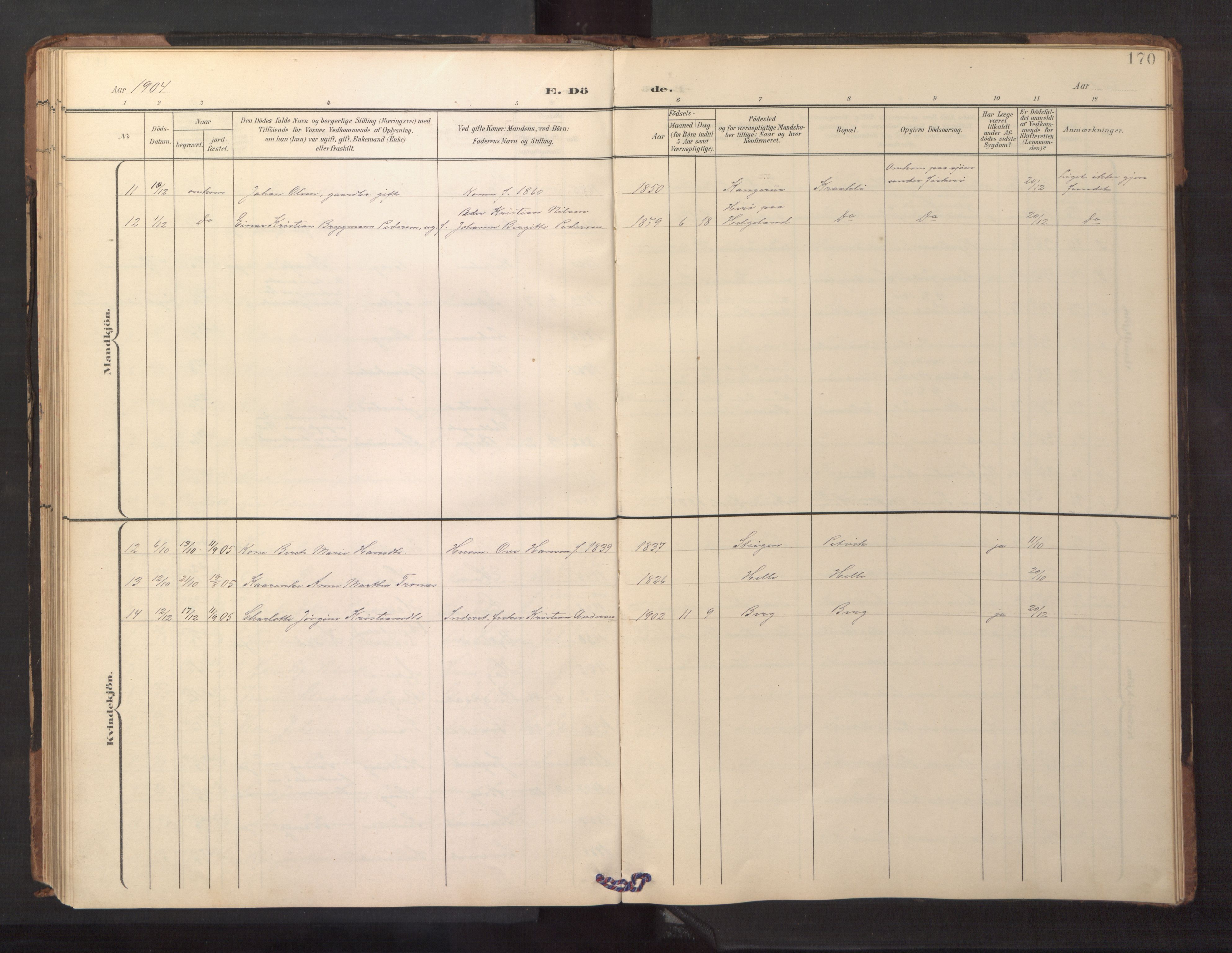 Ministerialprotokoller, klokkerbøker og fødselsregistre - Nordland, AV/SAT-A-1459/882/L1185: Parish register (copy) no. 882C03, 1898-1910, p. 170