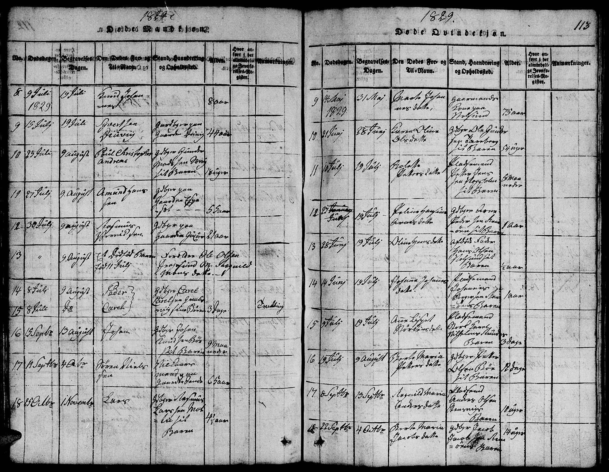 Ministerialprotokoller, klokkerbøker og fødselsregistre - Møre og Romsdal, SAT/A-1454/507/L0078: Parish register (copy) no. 507C01, 1816-1840, p. 113