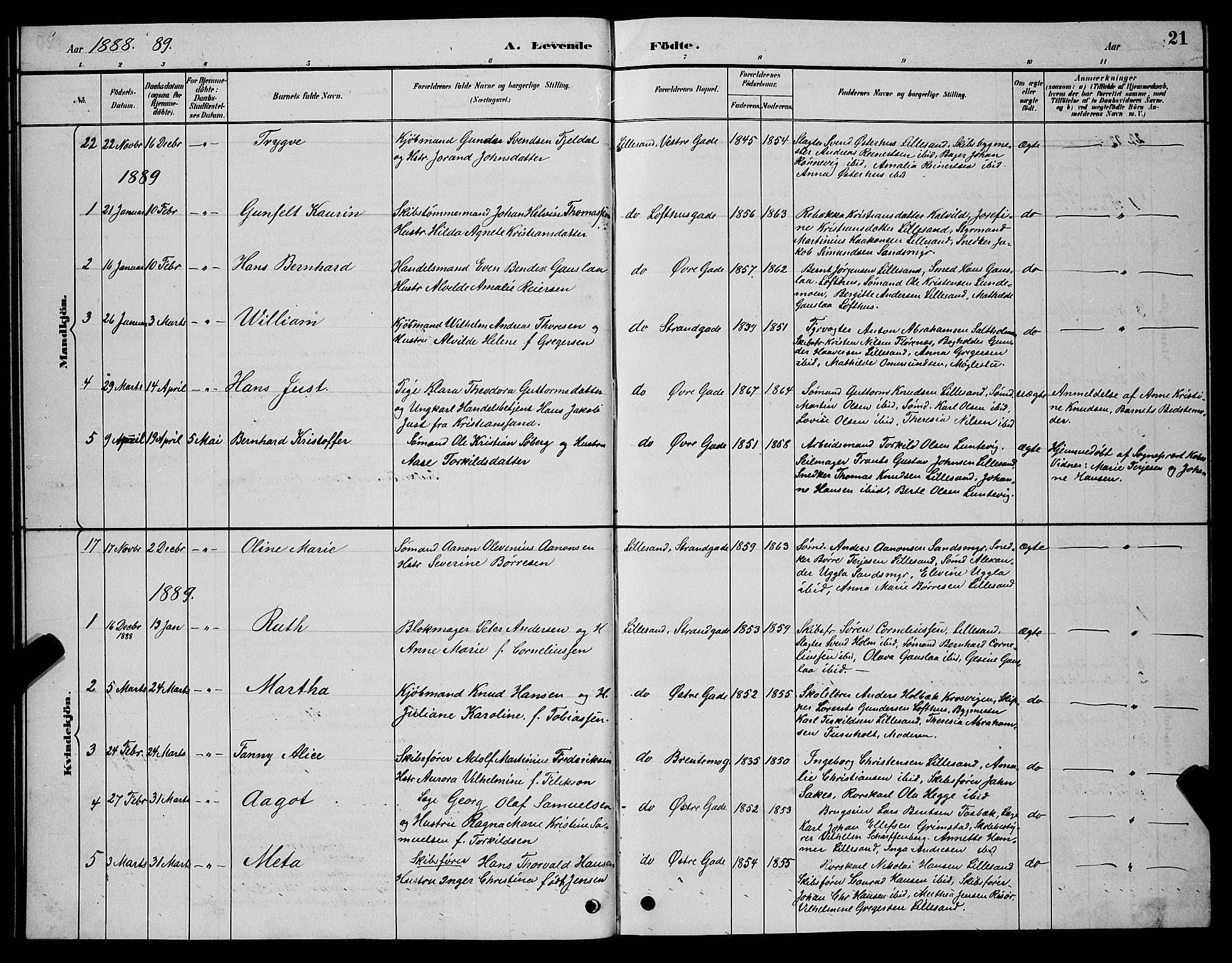 Vestre Moland sokneprestkontor, AV/SAK-1111-0046/F/Fb/Fba/L0001: Parish register (copy) no. B 1, 1884-1903, p. 21