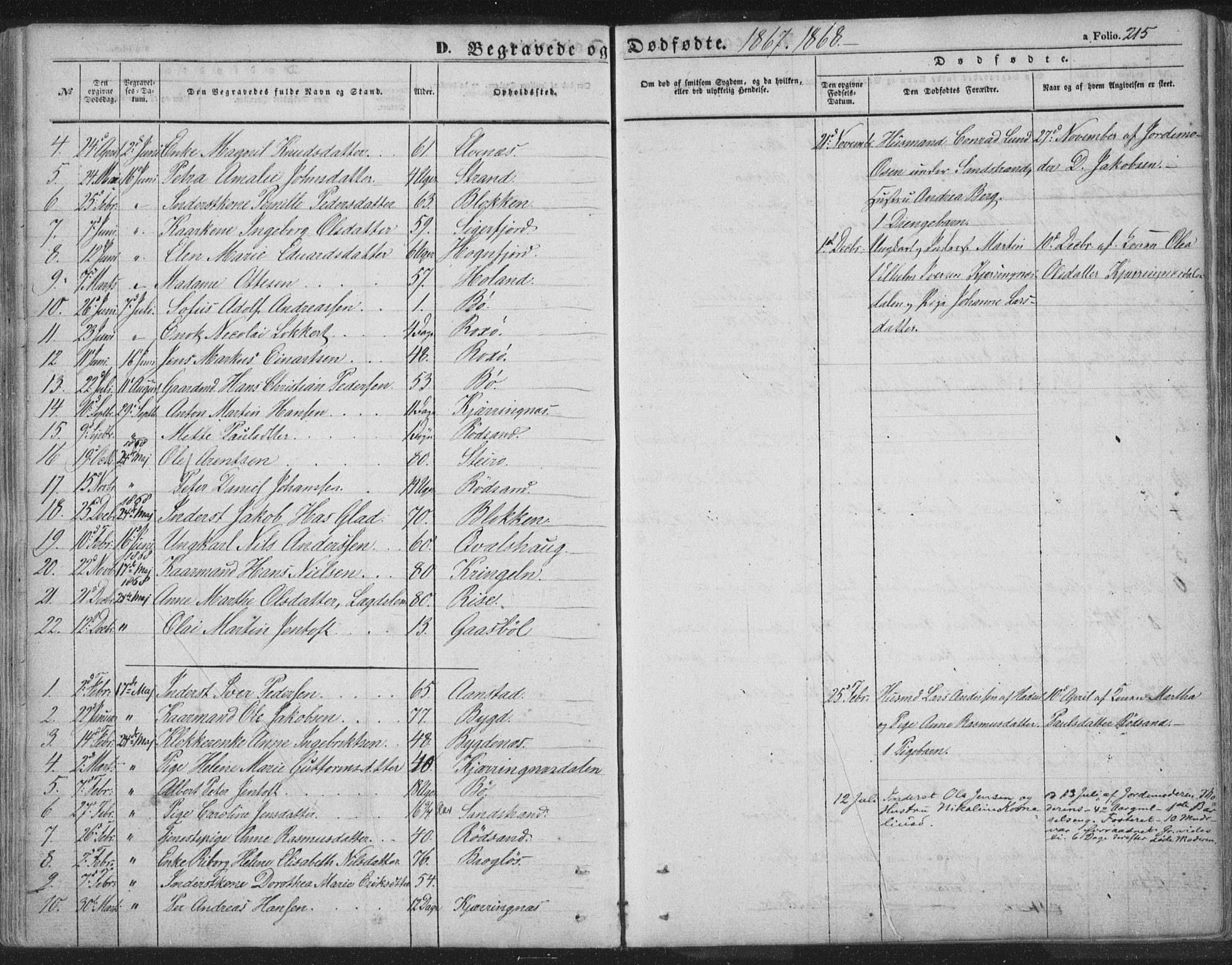 Ministerialprotokoller, klokkerbøker og fødselsregistre - Nordland, AV/SAT-A-1459/895/L1369: Parish register (official) no. 895A04, 1852-1872, p. 215