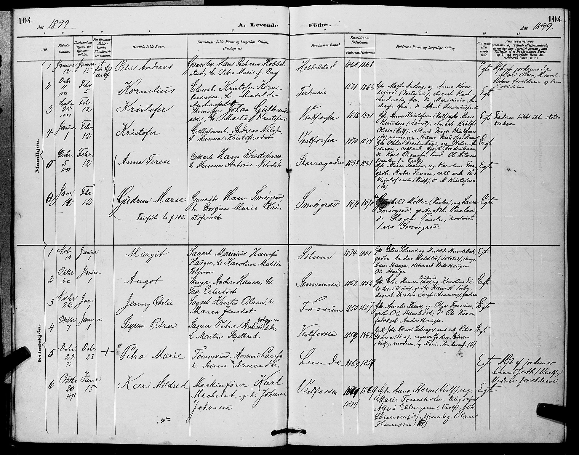 Eiker kirkebøker, AV/SAKO-A-4/G/Ga/L0007: Parish register (copy) no. I 7, 1893-1902, p. 104