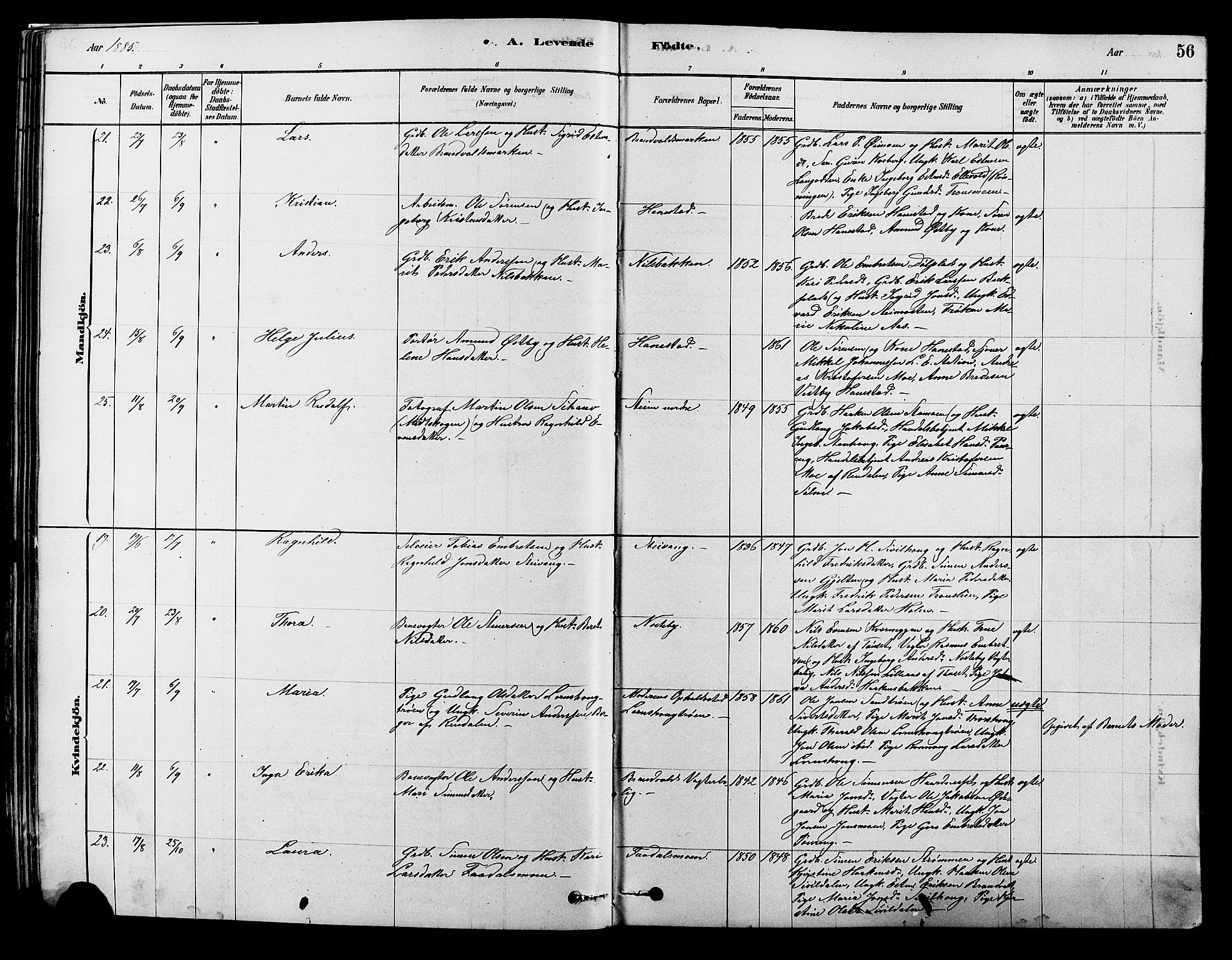 Alvdal prestekontor, AV/SAH-PREST-060/H/Ha/Hab/L0003: Parish register (copy) no. 3, 1878-1907, p. 56