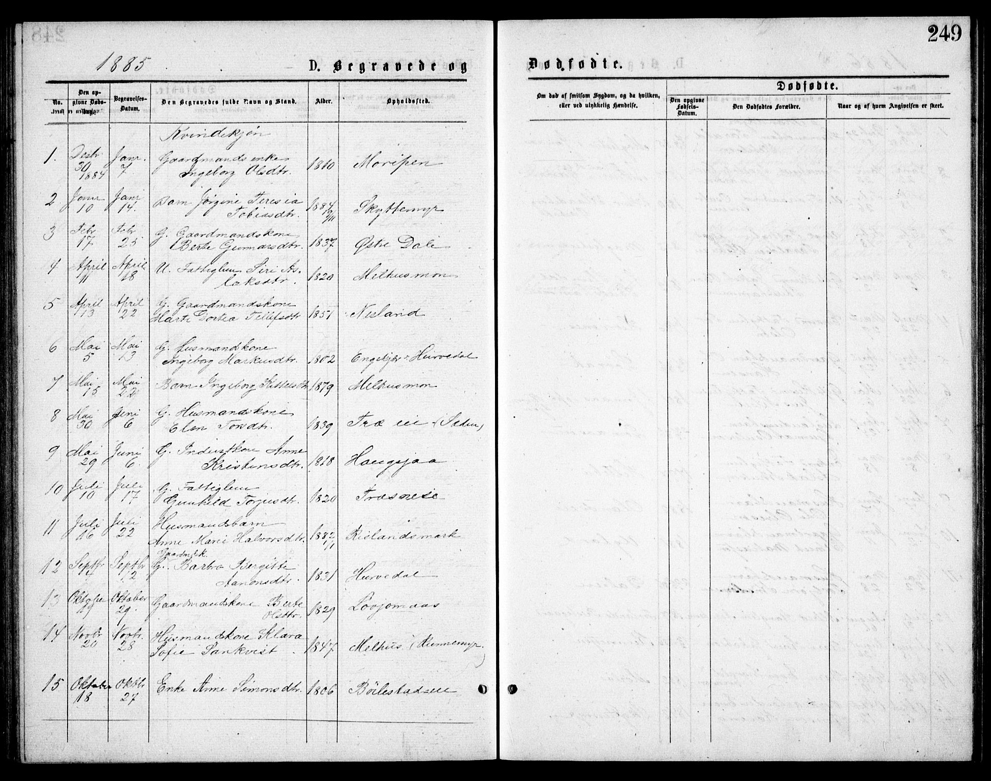 Froland sokneprestkontor, AV/SAK-1111-0013/F/Fb/L0009: Parish register (copy) no. B 9, 1875-1893, p. 249