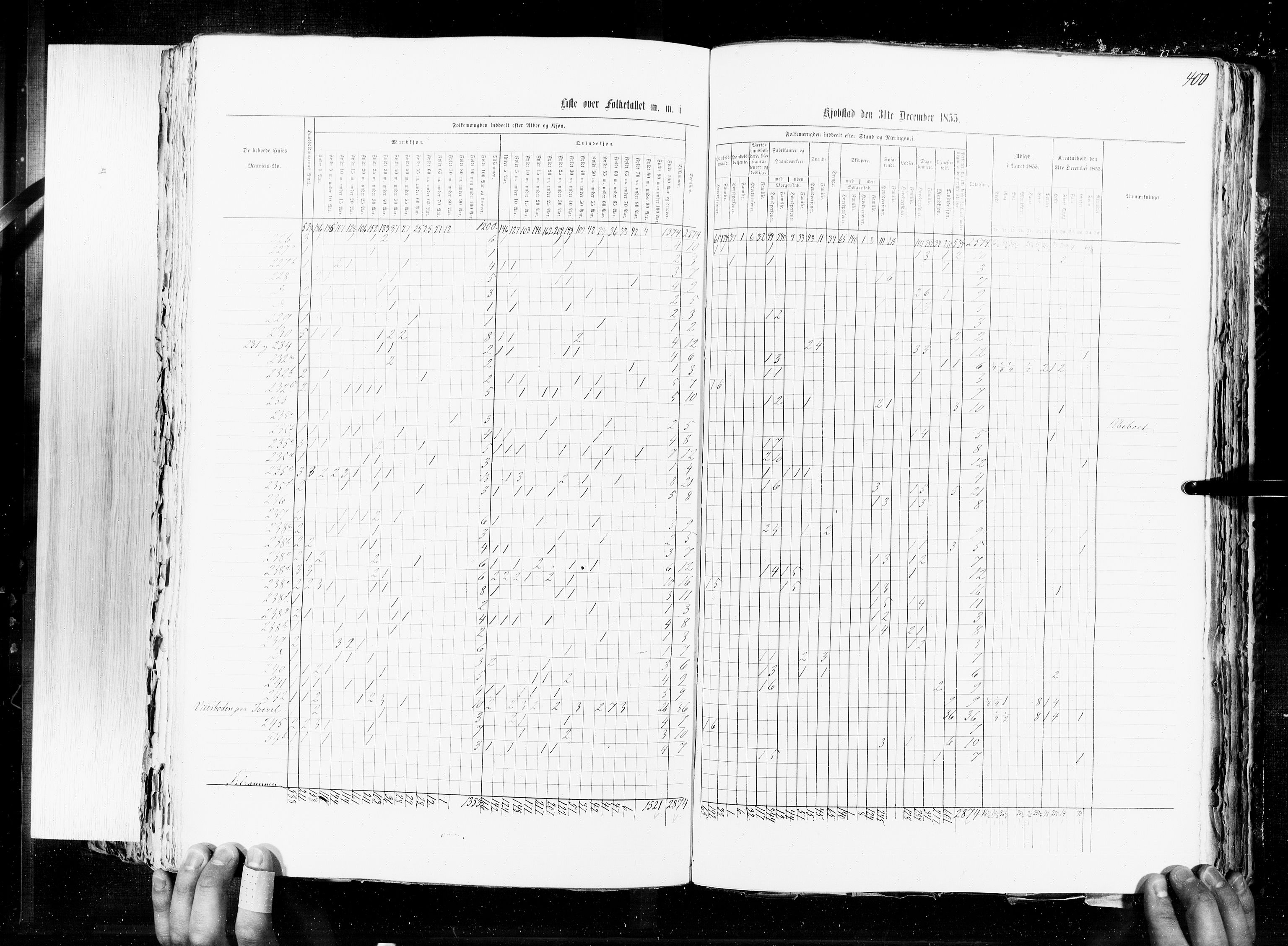 RA, Census 1855, vol. 7: Fredrikshald-Kragerø, 1855, p. 400