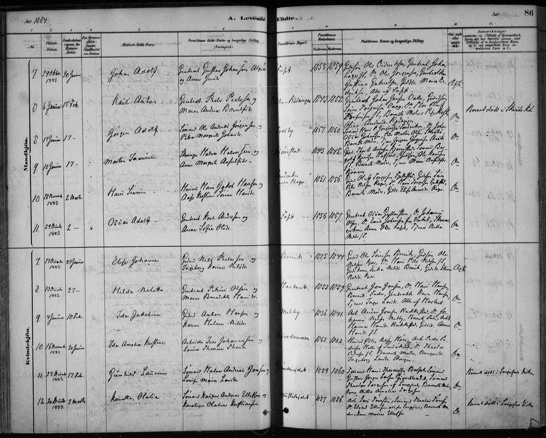 Bamble kirkebøker, SAKO/A-253/F/Fa/L0007: Parish register (official) no. I 7, 1878-1888, p. 86