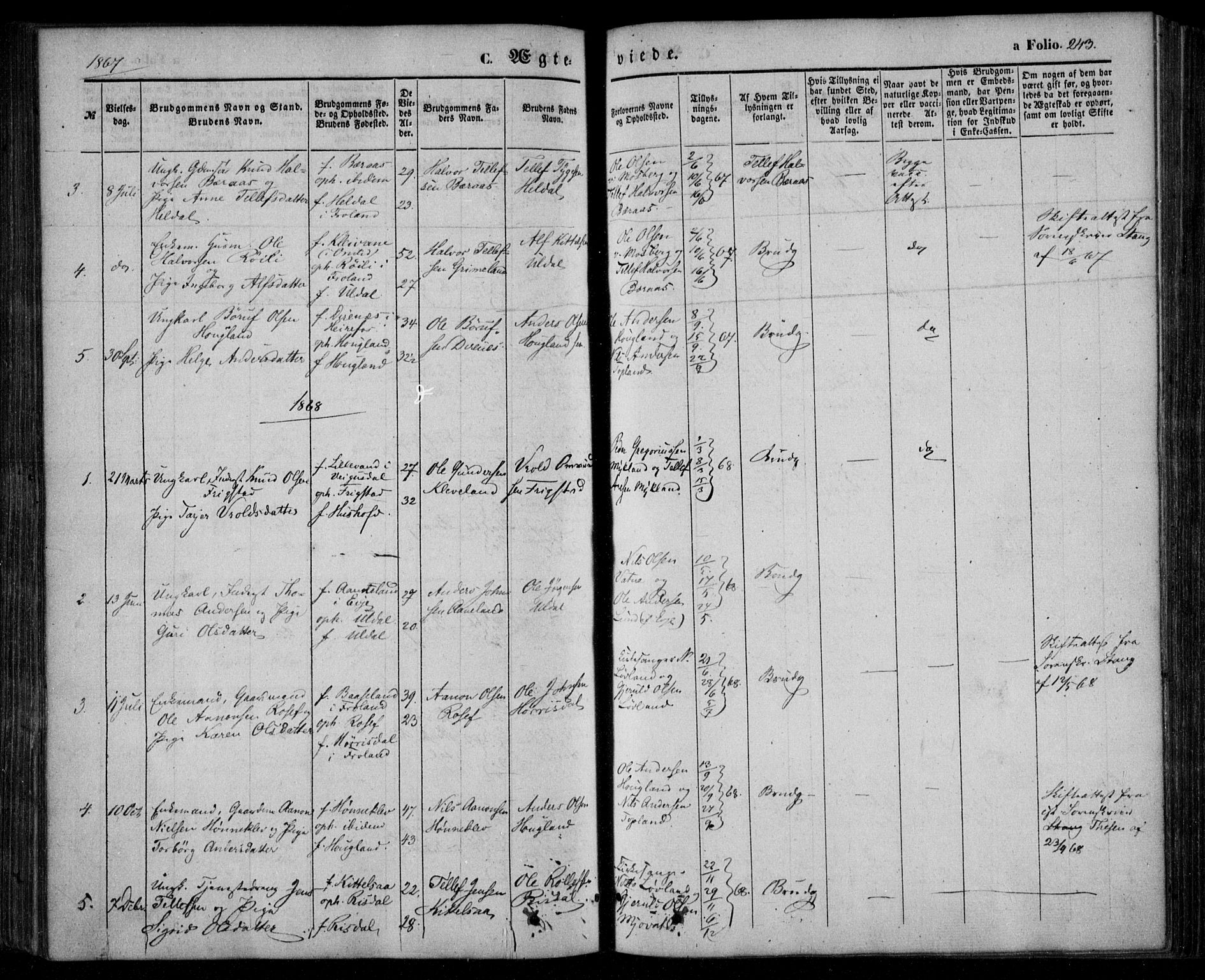 Åmli sokneprestkontor, AV/SAK-1111-0050/F/Fa/Fac/L0008: Parish register (official) no. A 8, 1852-1869, p. 243