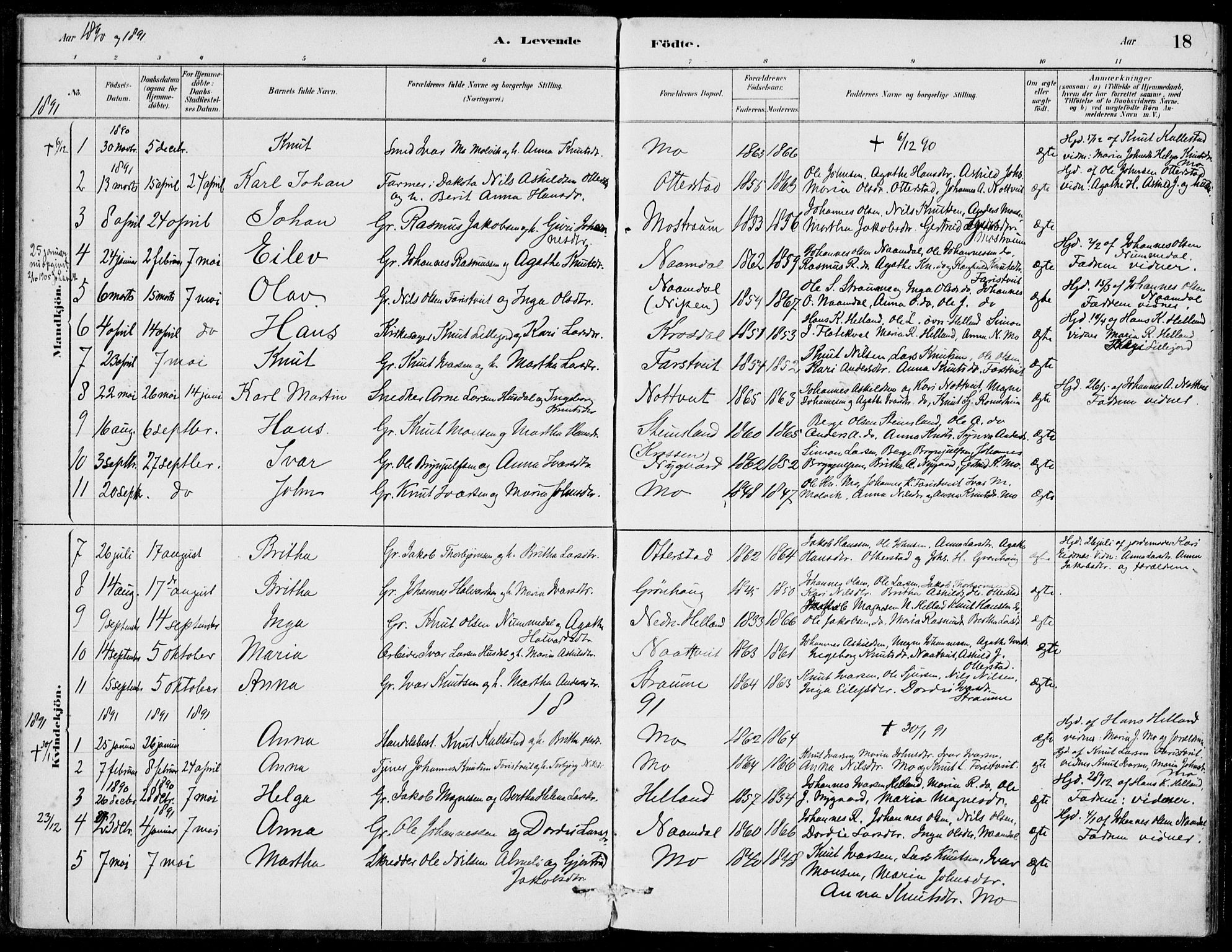 Hosanger sokneprestembete, AV/SAB-A-75801/H/Haa: Parish register (official) no. C  1, 1880-1900, p. 18