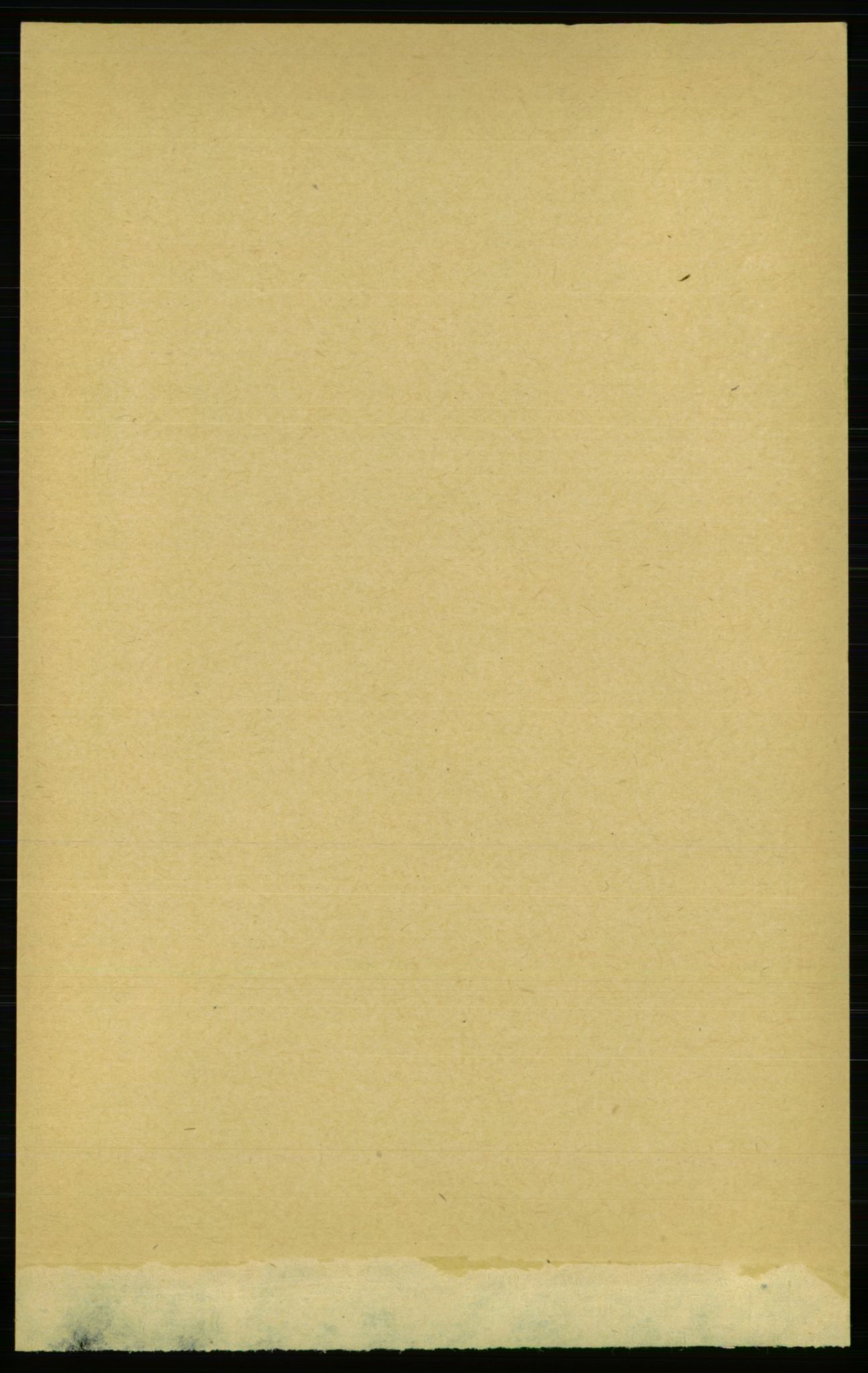 RA, 1891 census for 1650 Horg, 1891, p. 1110