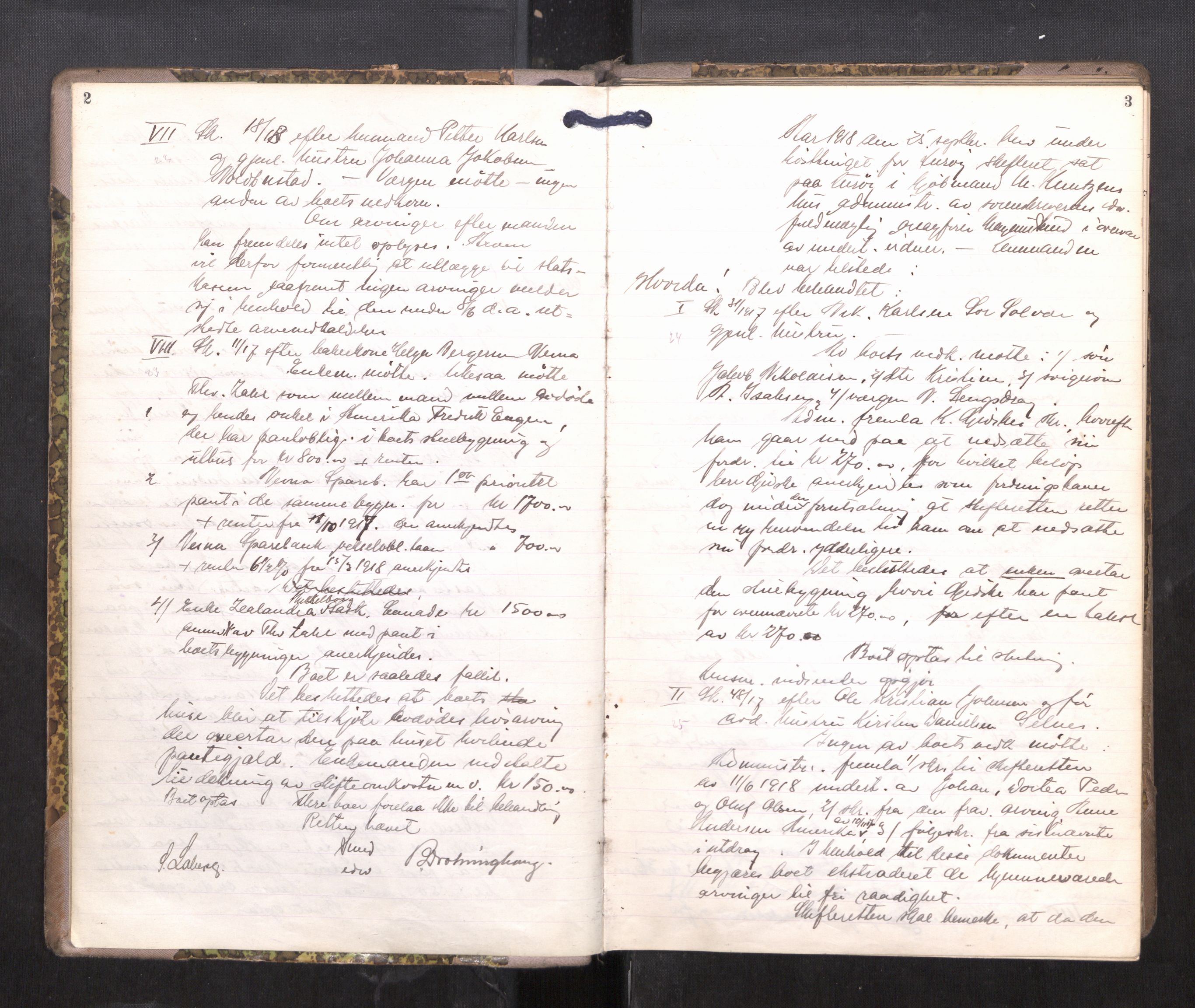 Rana sorenskriveri , AV/SAT-A-1108/1/3/3B/L0011: Skiftebehandlingsprotokoll, 1918-1922, p. 2-3