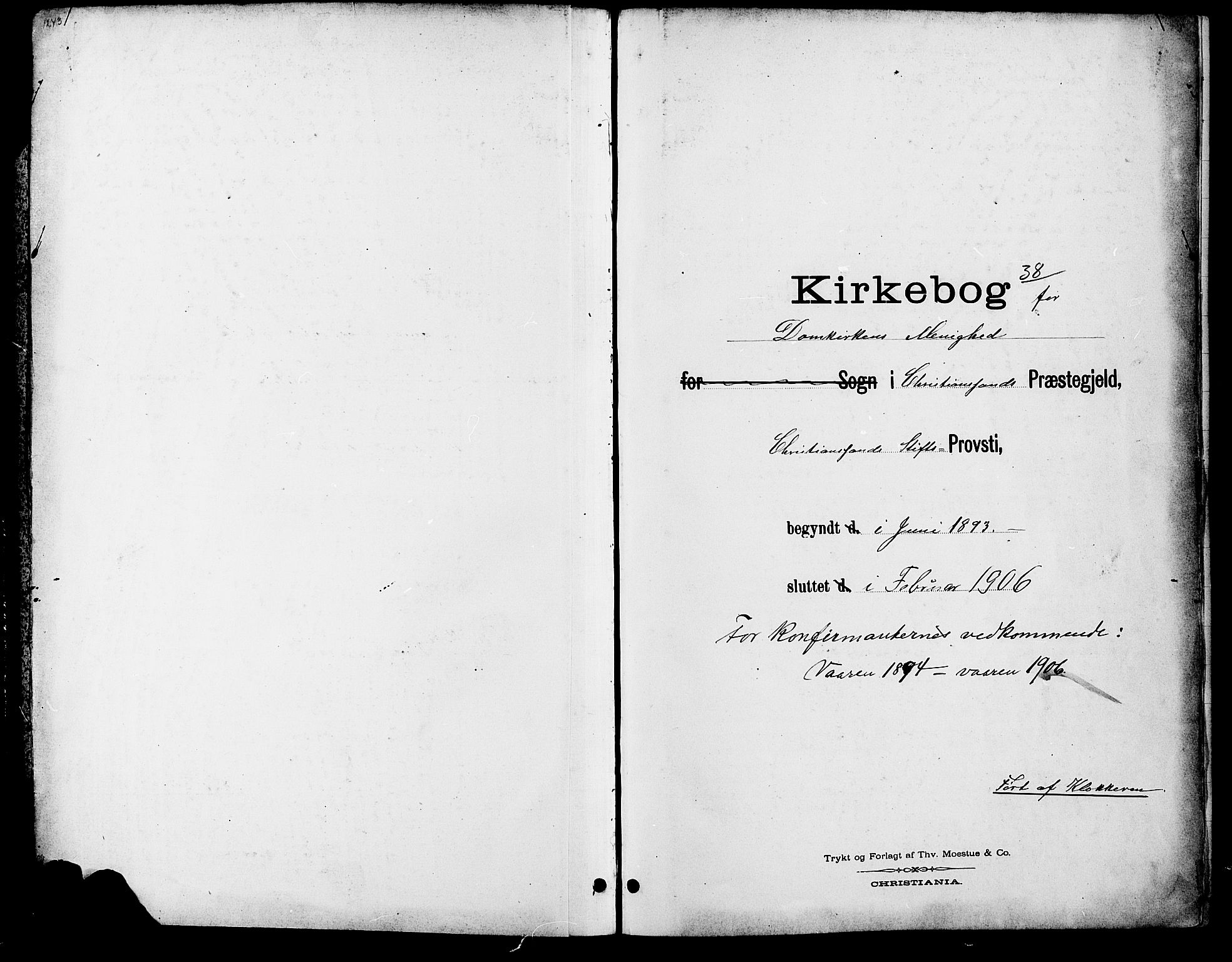 Kristiansand domprosti, SAK/1112-0006/F/Fb/L0017: Parish register (copy) no. B 17, 1893-1906
