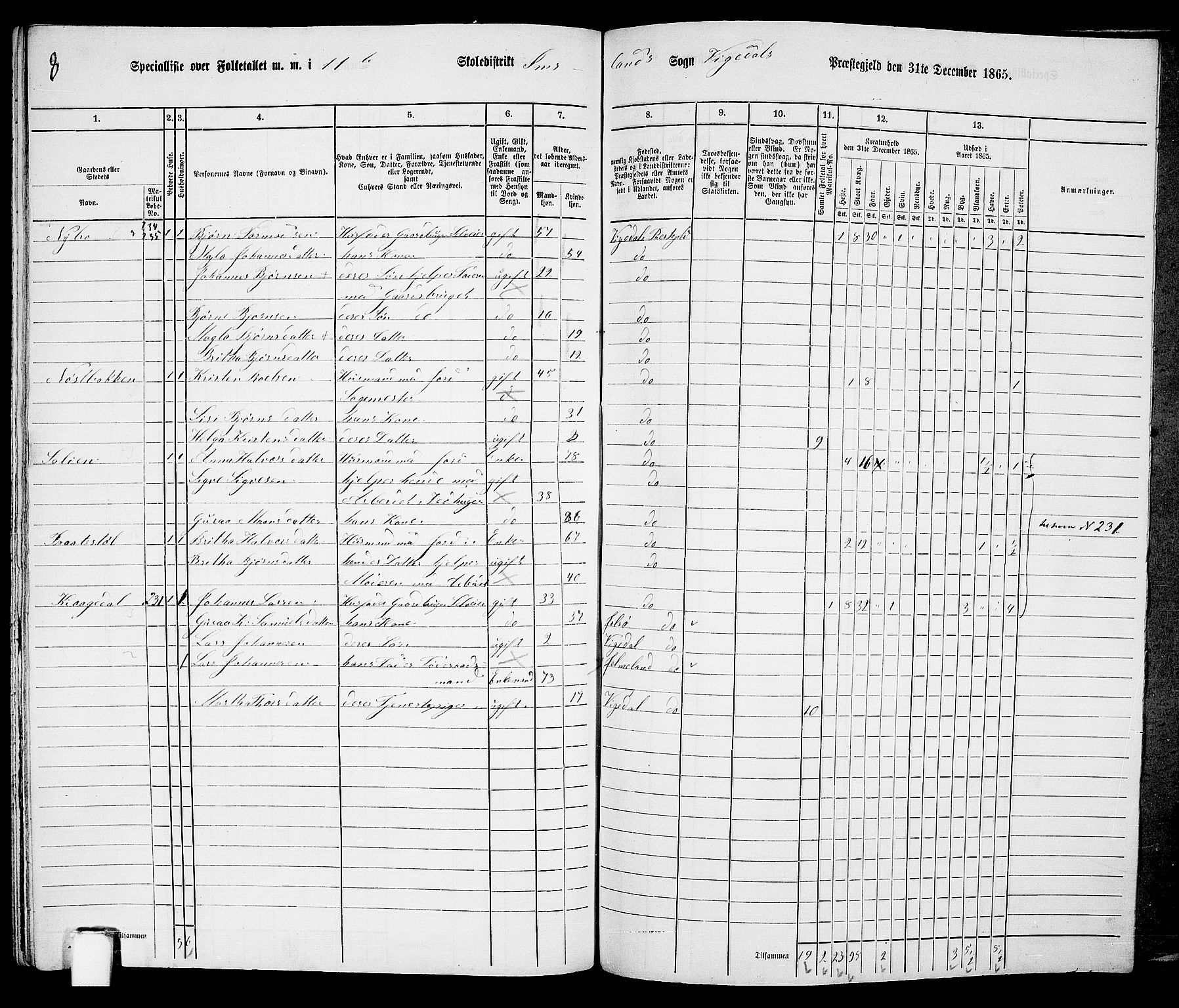 RA, 1865 census for Vikedal, 1865, p. 113