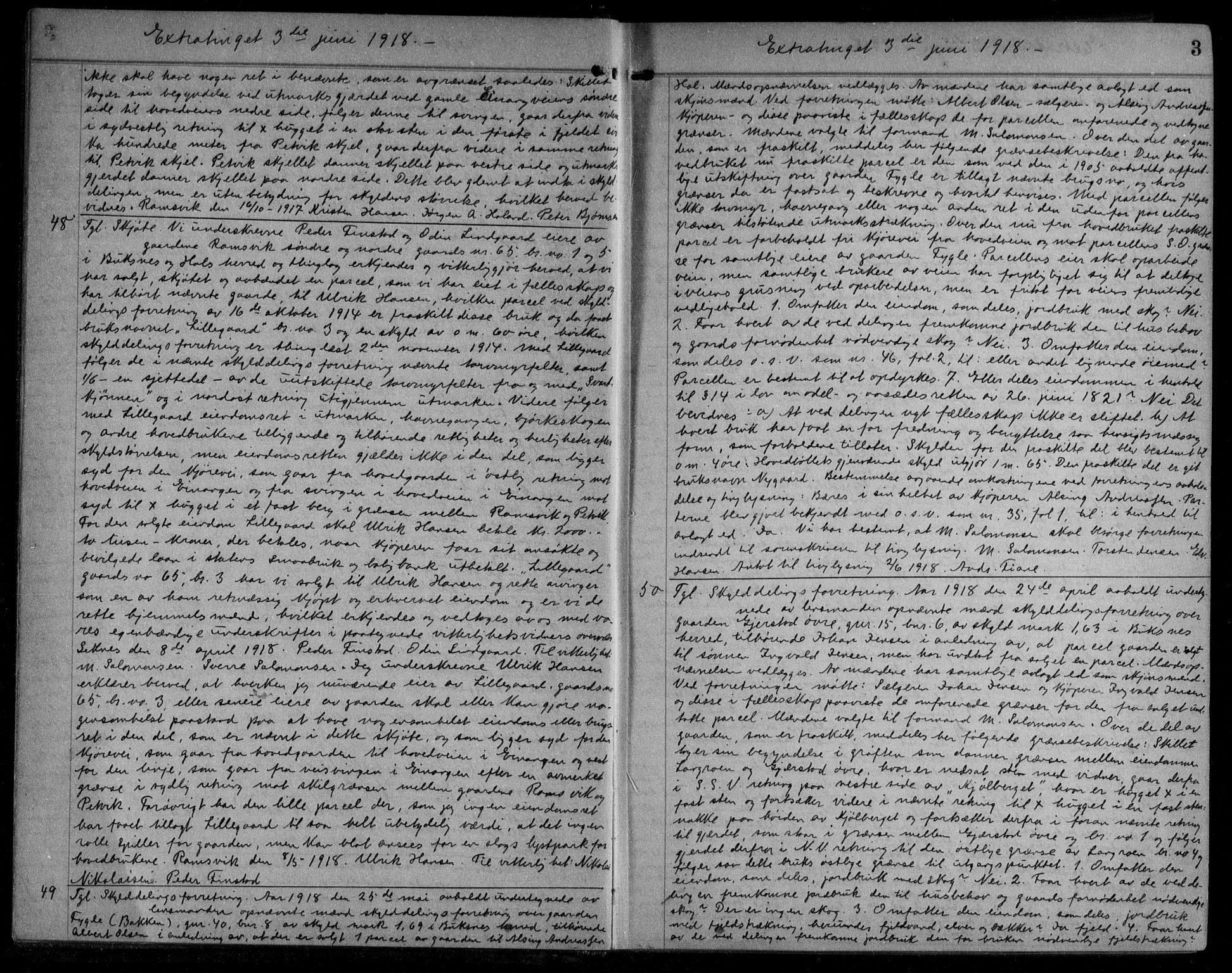 Lofoten sorenskriveri, SAT/A-0017/1/2/2C/L0010: Mortgage book no. 10, 1919-1920, p. 3
