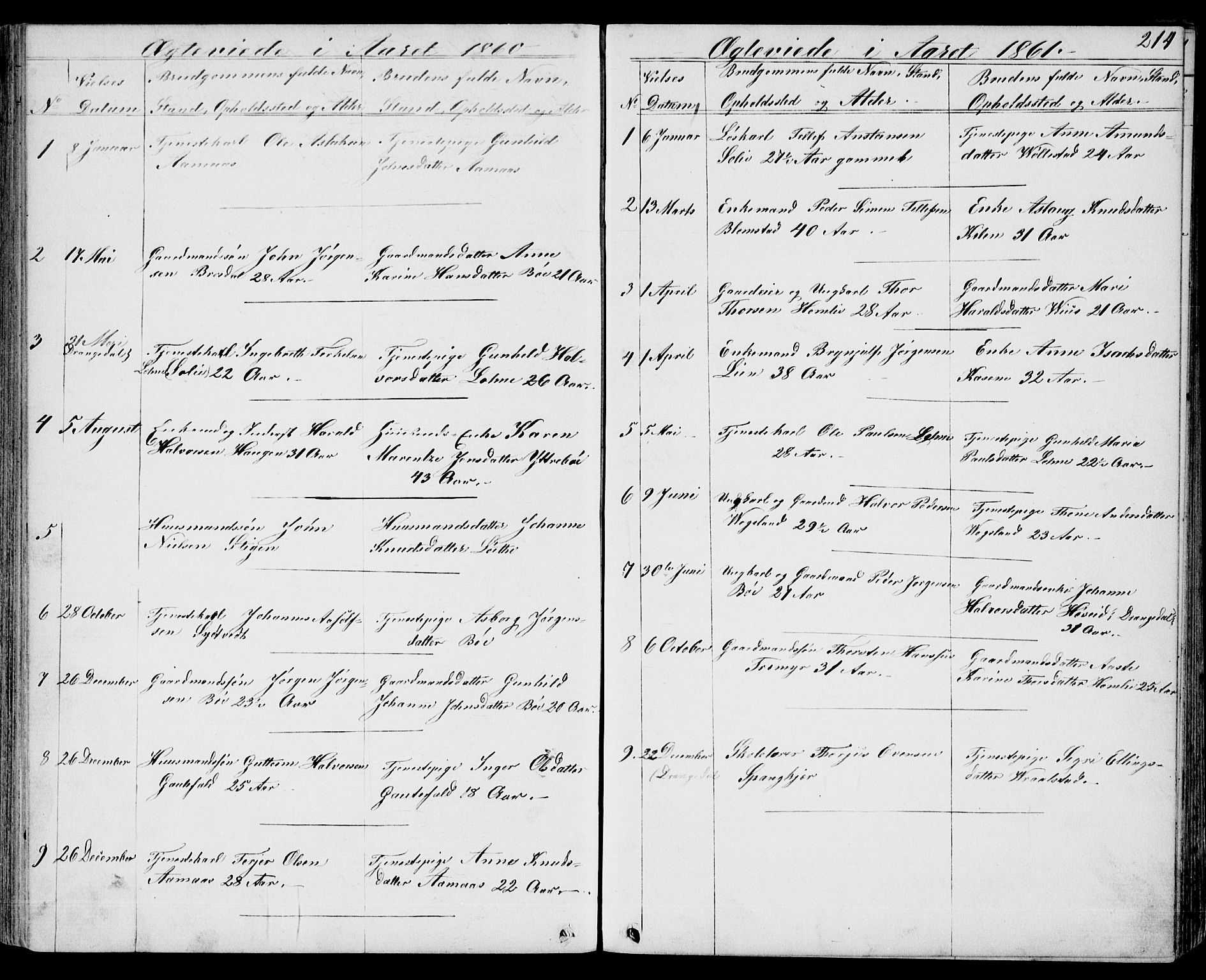 Drangedal kirkebøker, SAKO/A-258/G/Gb/L0001: Parish register (copy) no. II 1, 1856-1894, p. 214