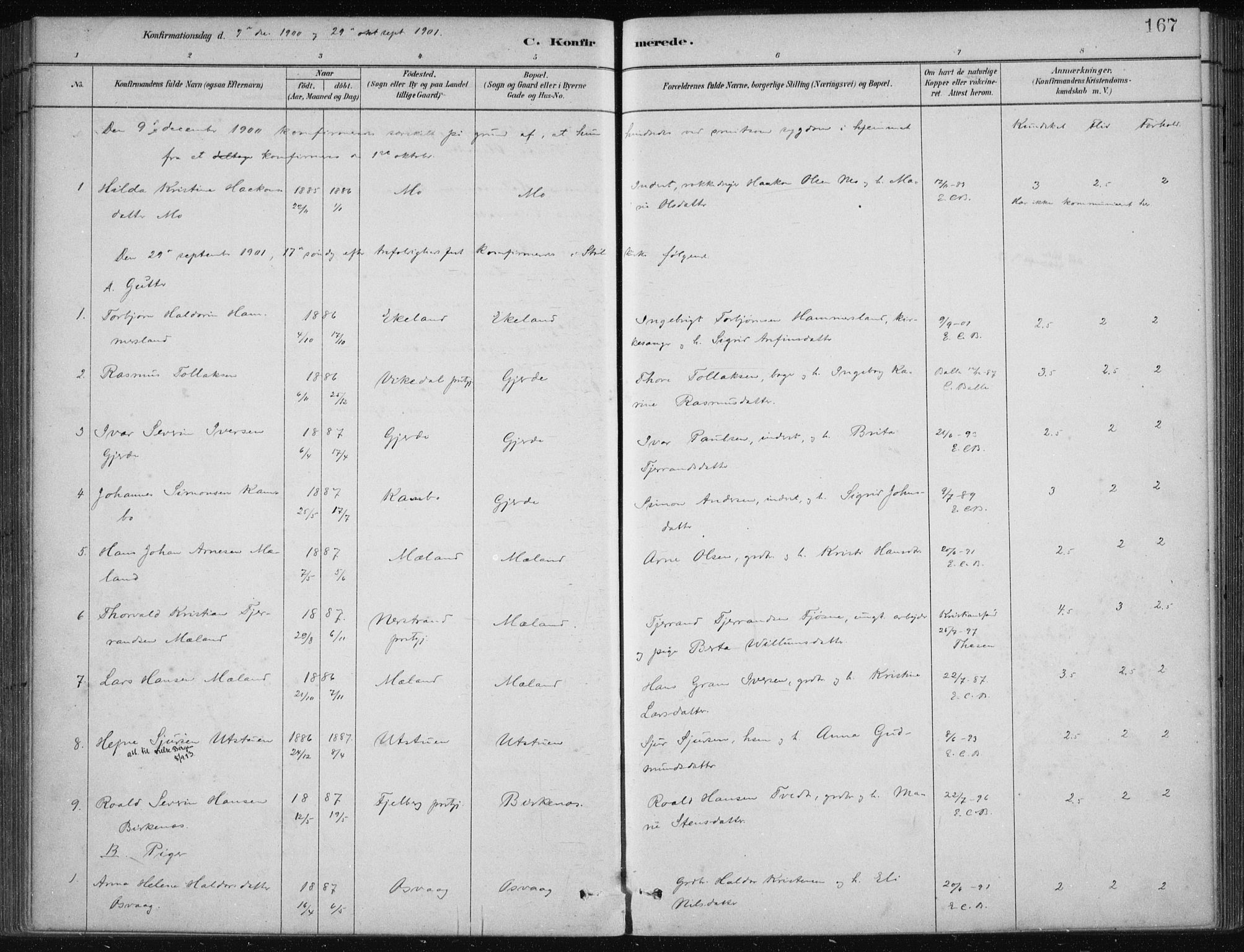 Etne sokneprestembete, SAB/A-75001/H/Haa: Parish register (official) no. C  1, 1879-1919, p. 167