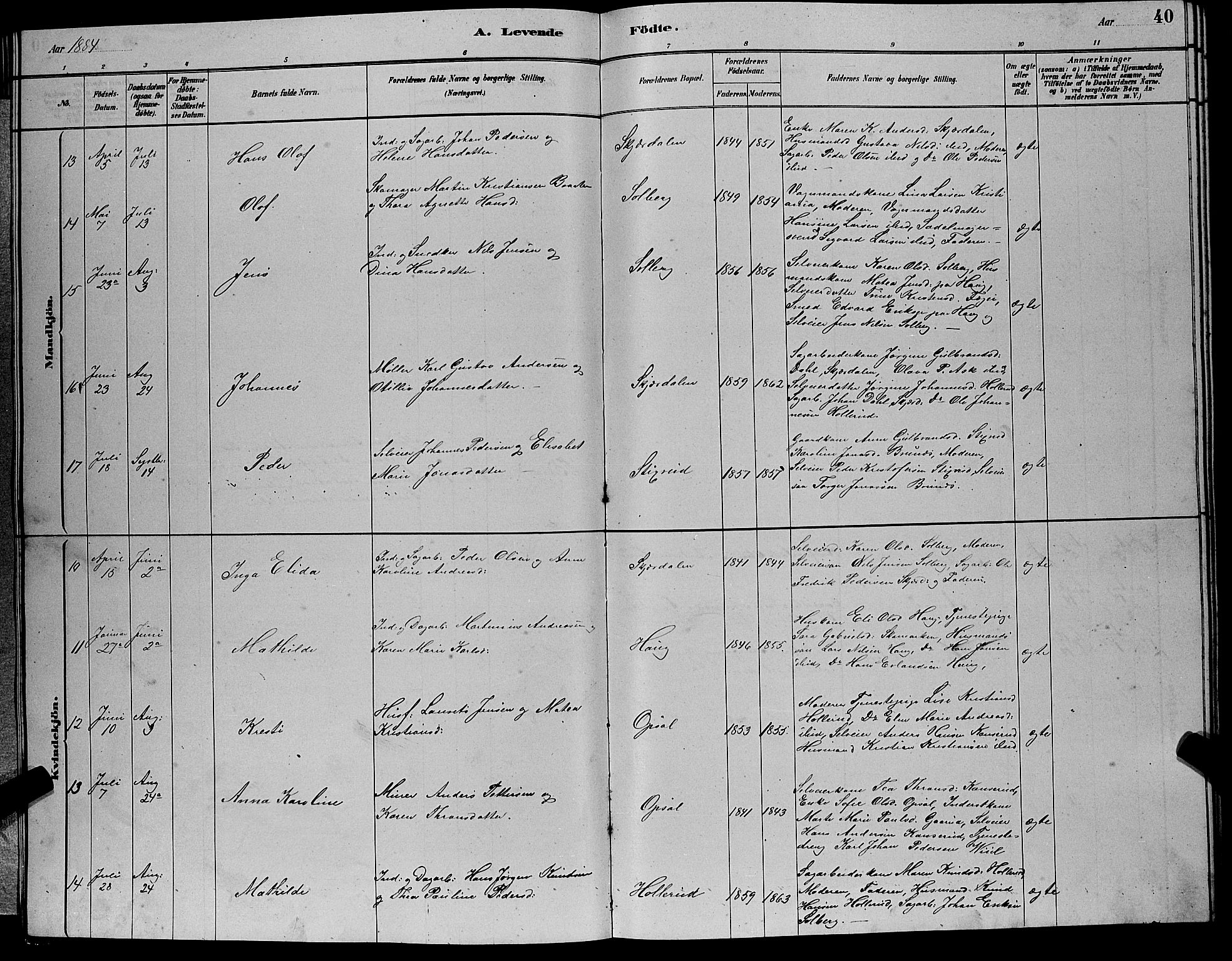 Hole kirkebøker, AV/SAKO-A-228/G/Gb/L0002: Parish register (copy) no. II 2, 1878-1889, p. 40