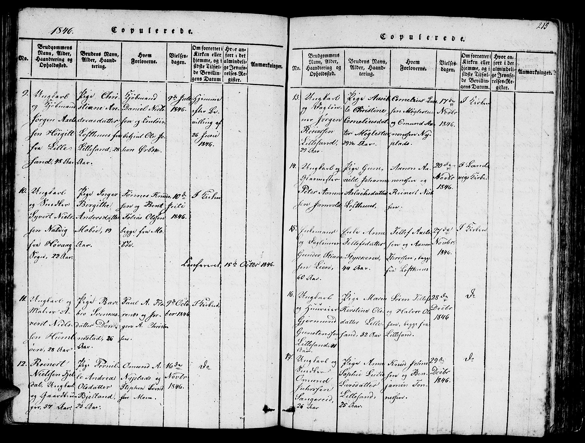 Vestre Moland sokneprestkontor, AV/SAK-1111-0046/F/Fb/Fbb/L0001: Parish register (copy) no. B 1, 1816-1851, p. 215