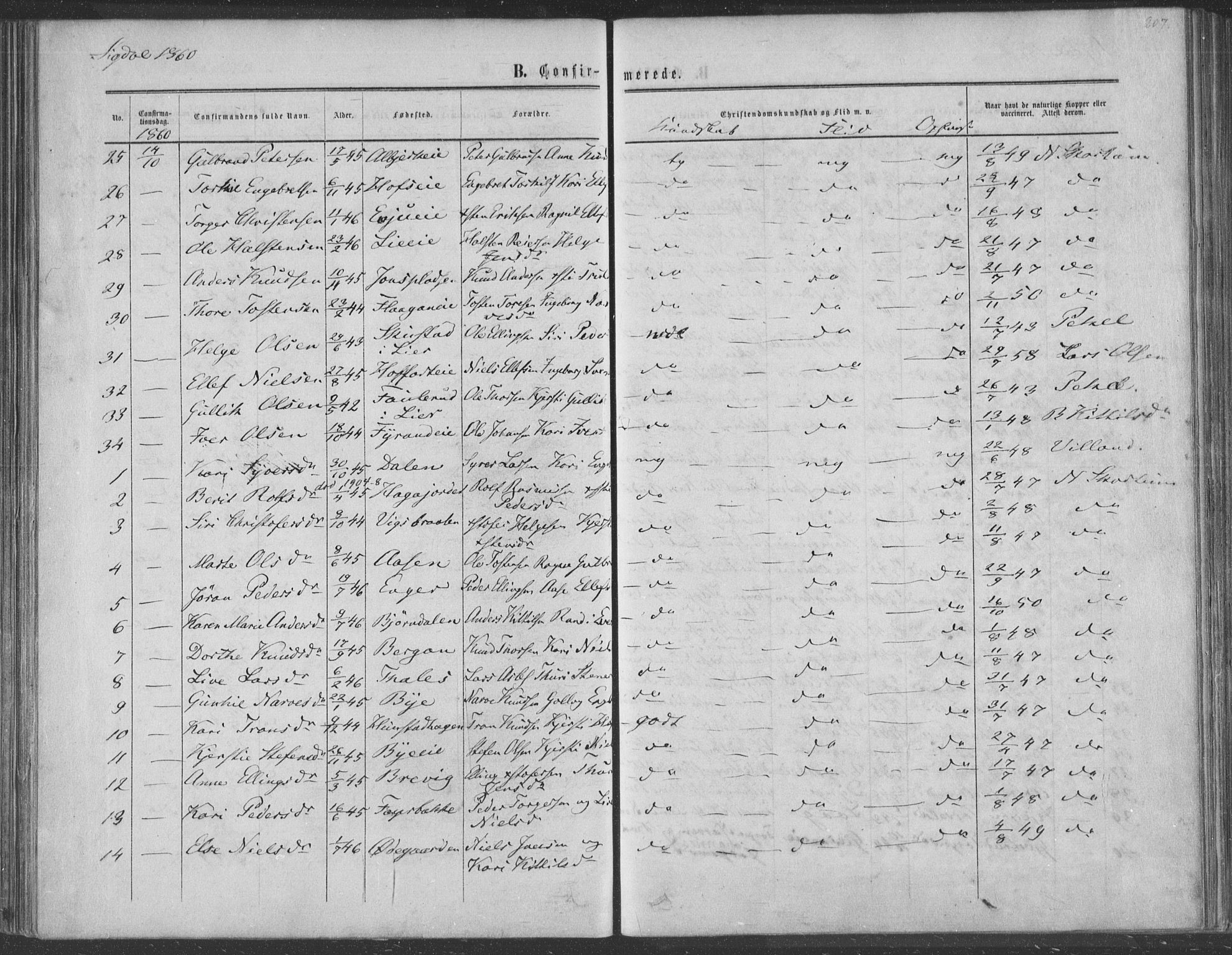 Sigdal kirkebøker, SAKO/A-245/F/Fa/L0009a: Parish register (official) no. I 9A, 1860-1871, p. 207