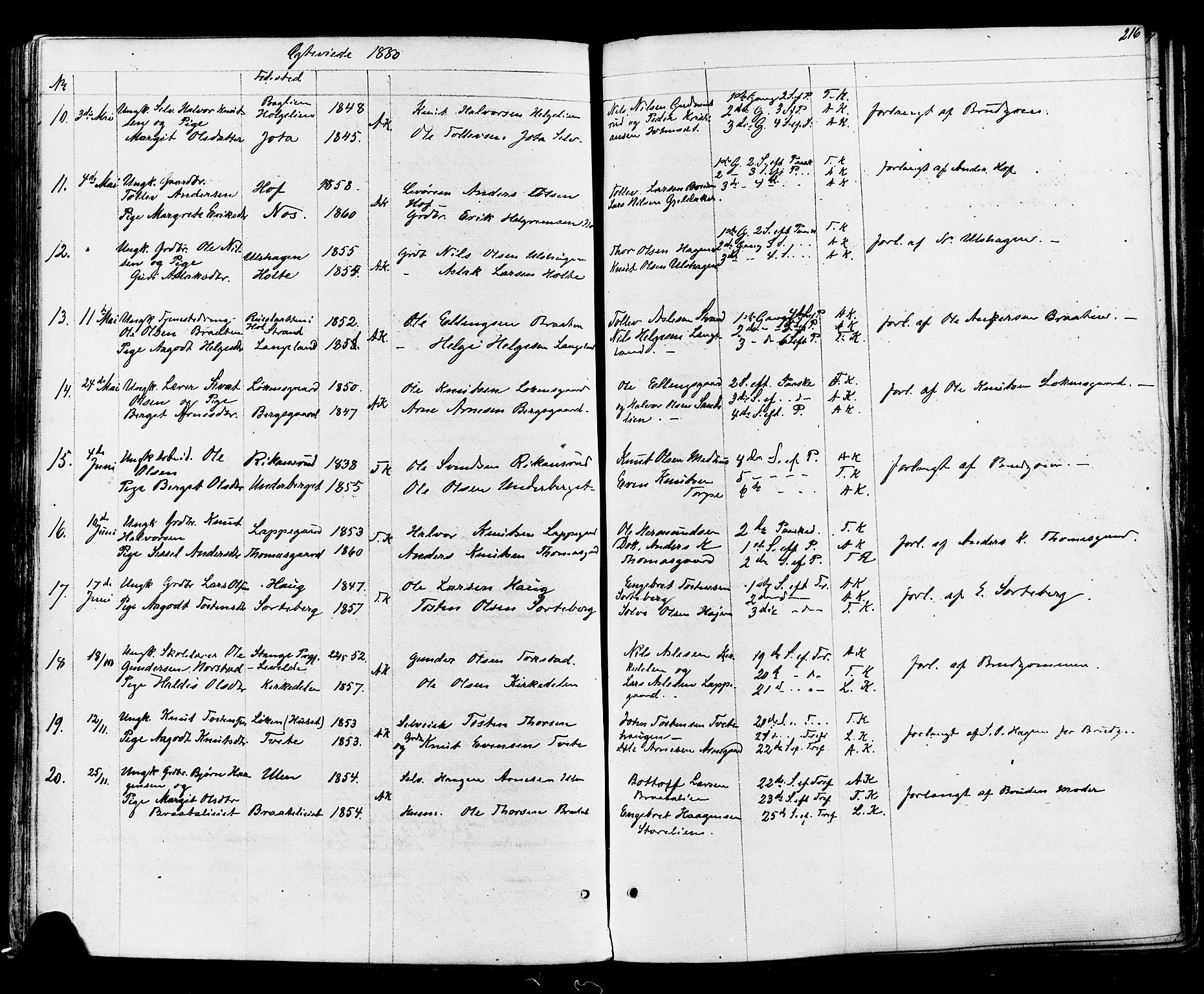 Ål kirkebøker, AV/SAKO-A-249/F/Fa/L0007: Parish register (official) no. I 7, 1865-1881, p. 216