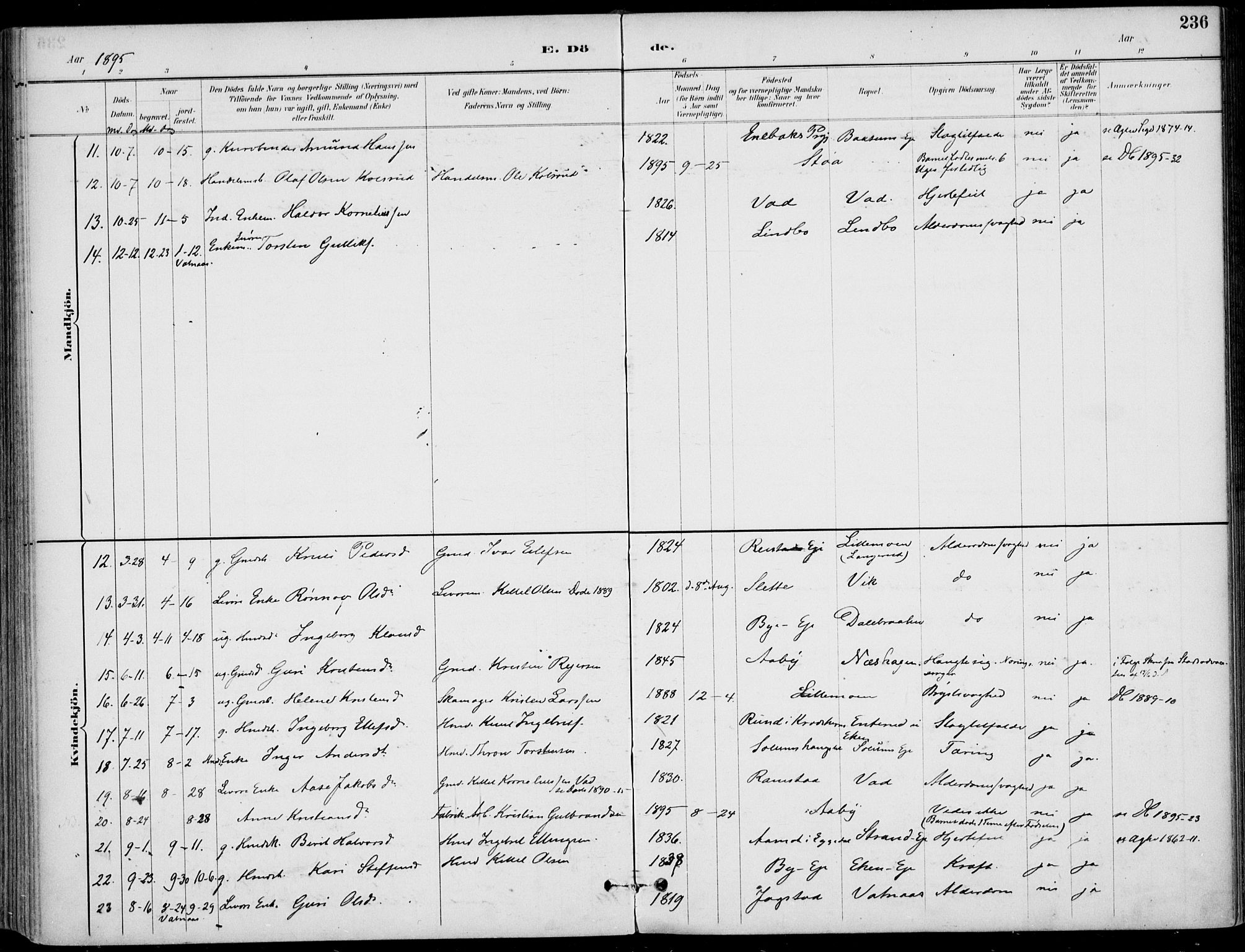 Sigdal kirkebøker, AV/SAKO-A-245/F/Fb/L0001: Parish register (official) no. II 1, 1888-1900, p. 236