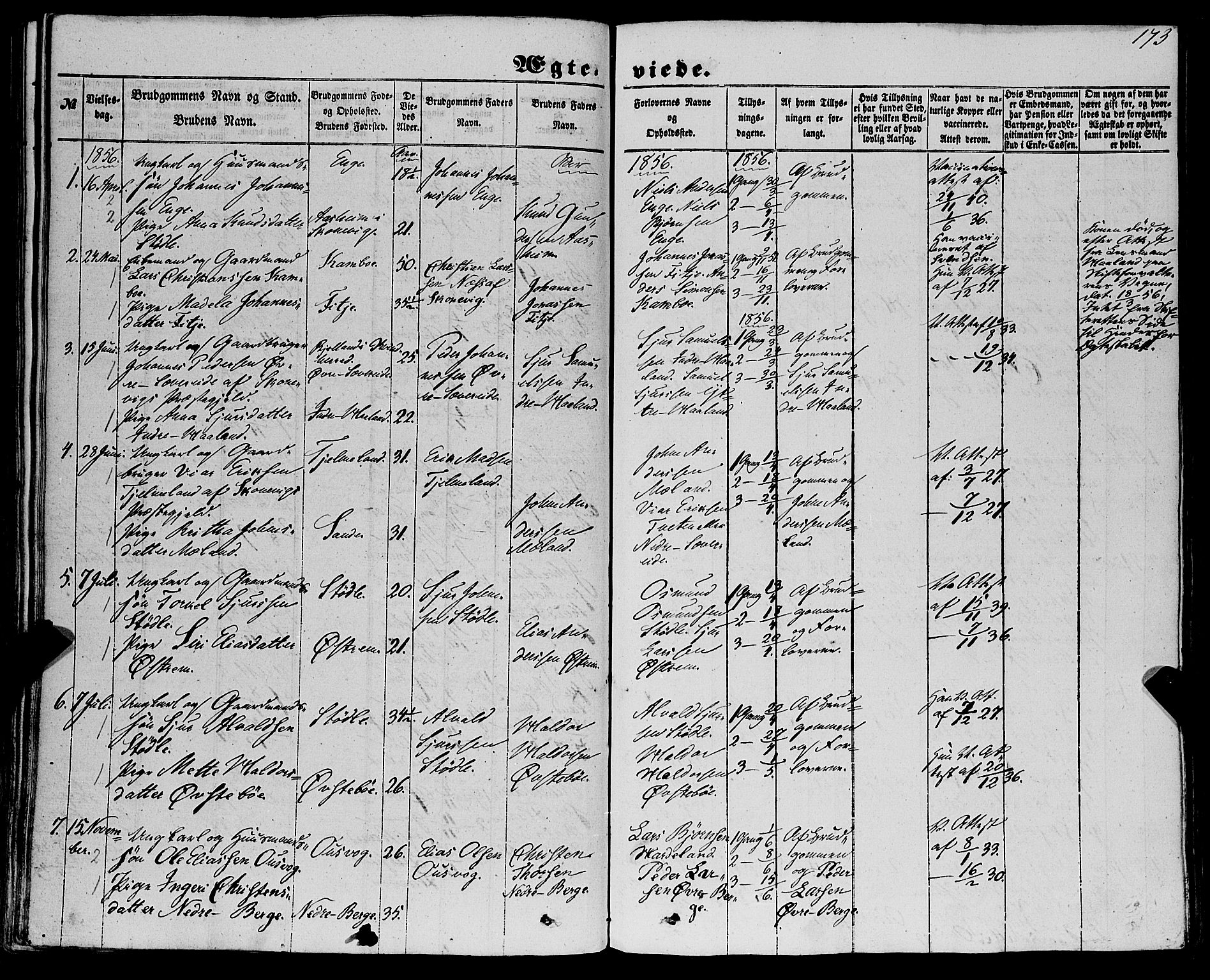 Etne sokneprestembete, AV/SAB-A-75001/H/Haa: Parish register (official) no. A 8, 1848-1862, p. 173