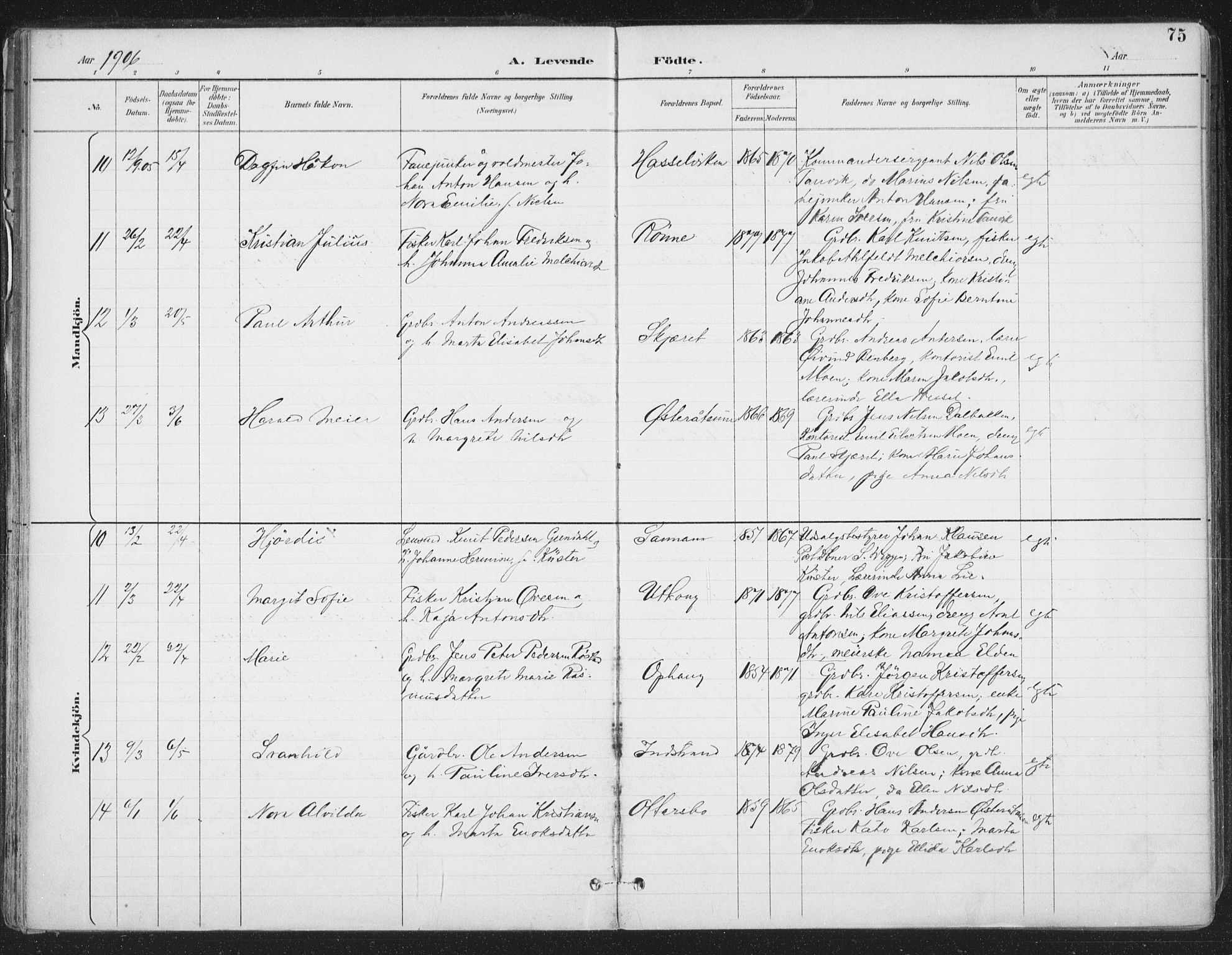 Ministerialprotokoller, klokkerbøker og fødselsregistre - Sør-Trøndelag, AV/SAT-A-1456/659/L0743: Parish register (official) no. 659A13, 1893-1910, p. 75