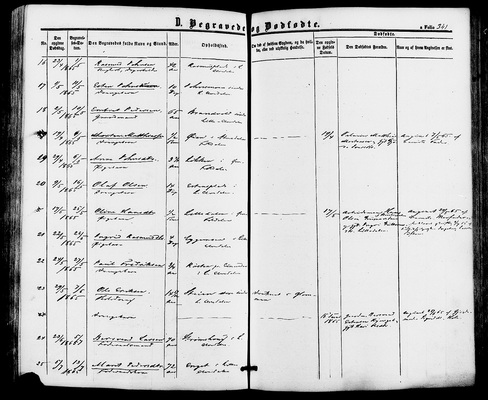 Alvdal prestekontor, SAH/PREST-060/H/Ha/Haa/L0001: Parish register (official) no. 1, 1863-1882, p. 341