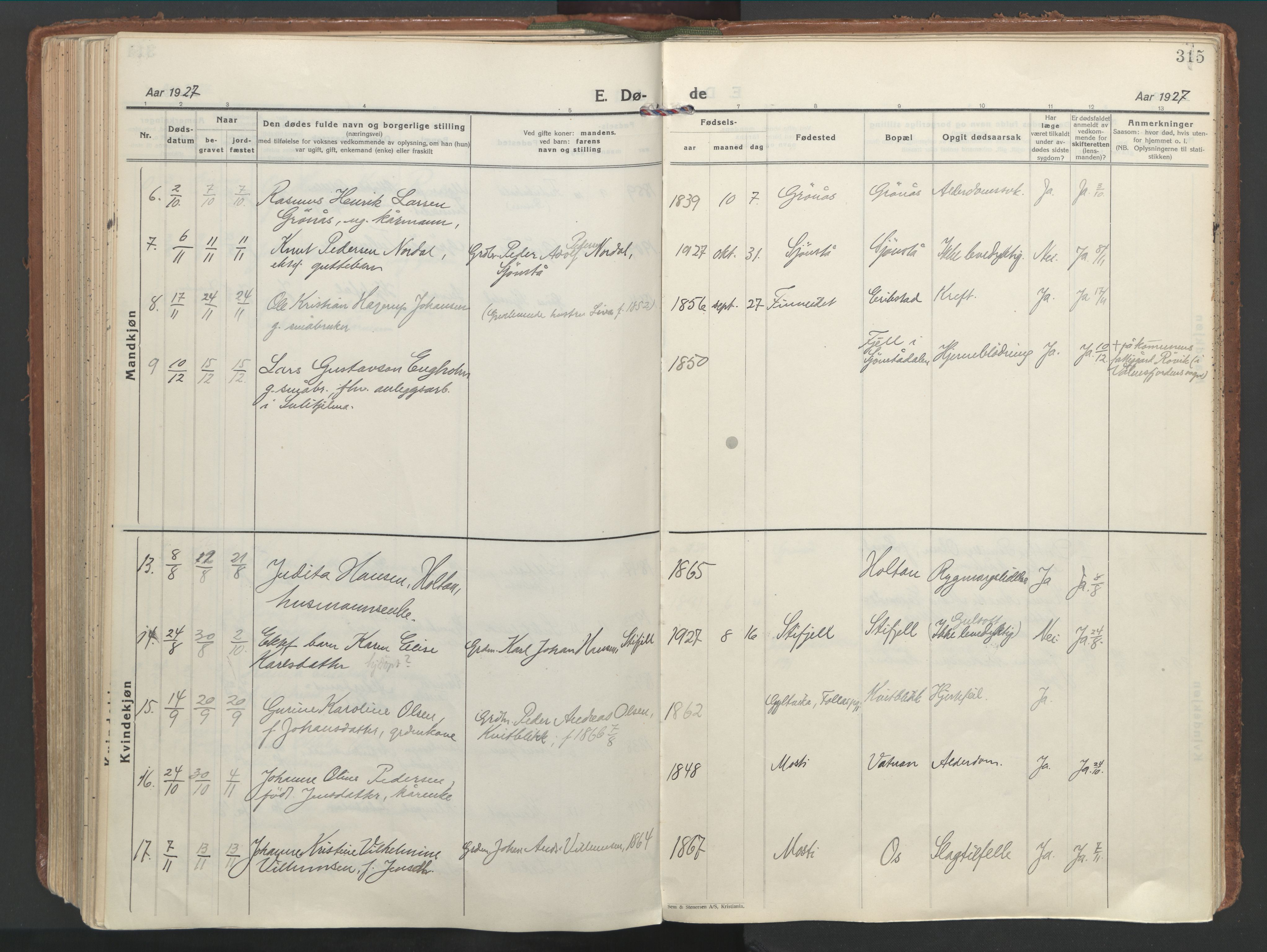 Ministerialprotokoller, klokkerbøker og fødselsregistre - Nordland, AV/SAT-A-1459/849/L0699: Parish register (official) no. 849A10, 1924-1937, p. 315