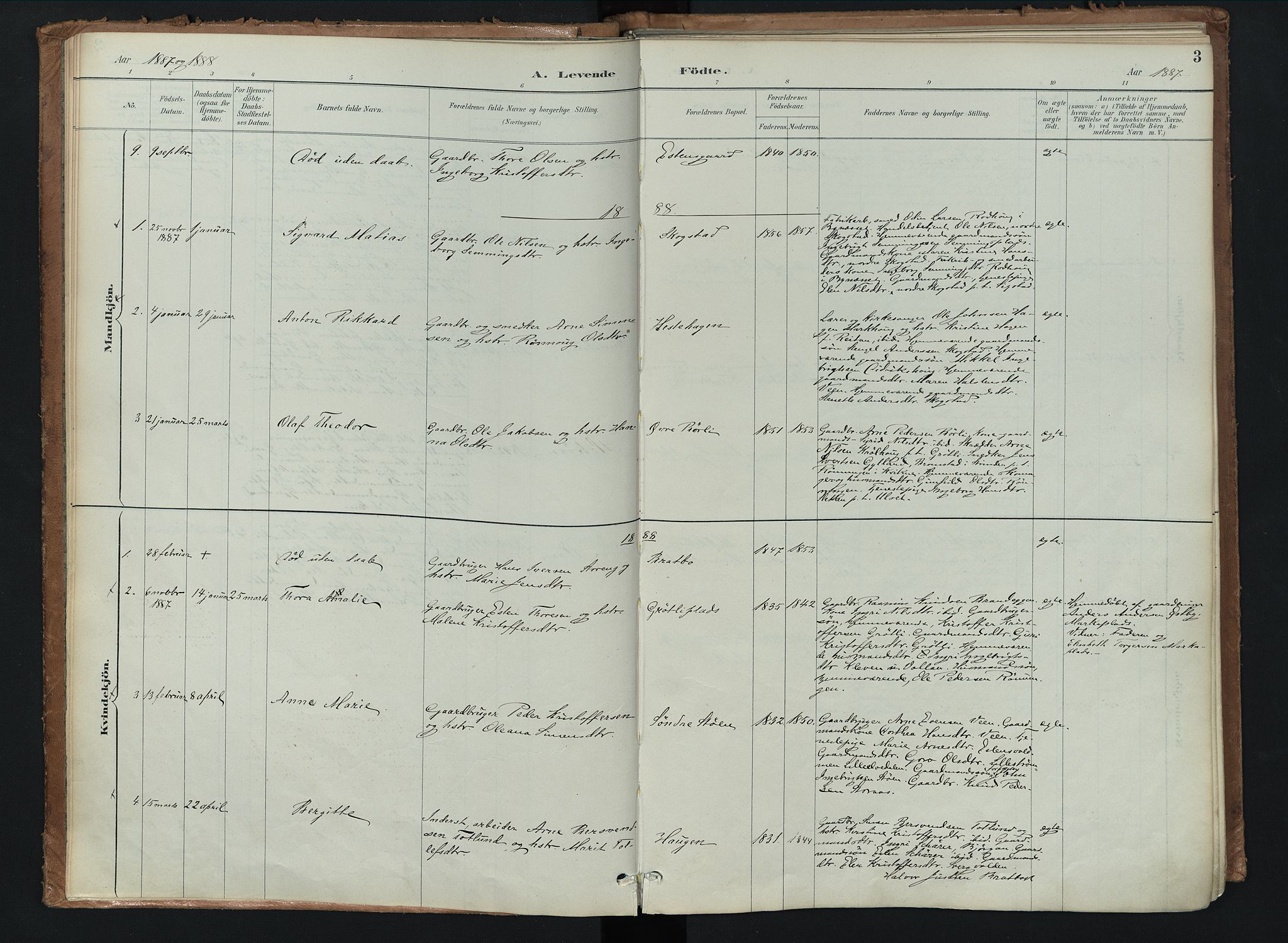 Kvikne prestekontor, AV/SAH-PREST-064/H/Ha/Haa/L0008: Parish register (official) no. 8, 1887-1911, p. 3