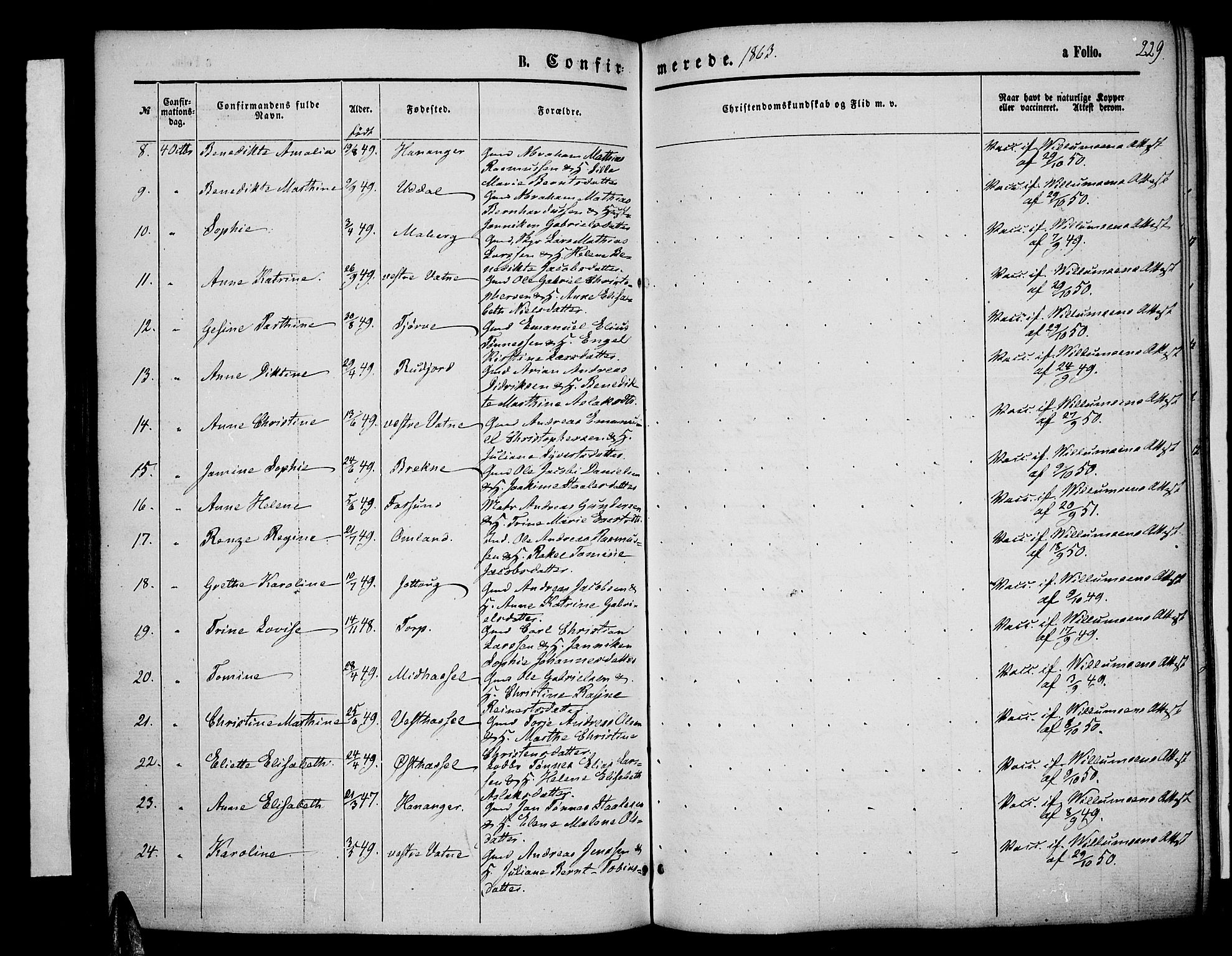 Lista sokneprestkontor, AV/SAK-1111-0027/F/Fb/L0003: Parish register (copy) no. B 3, 1862-1877, p. 229