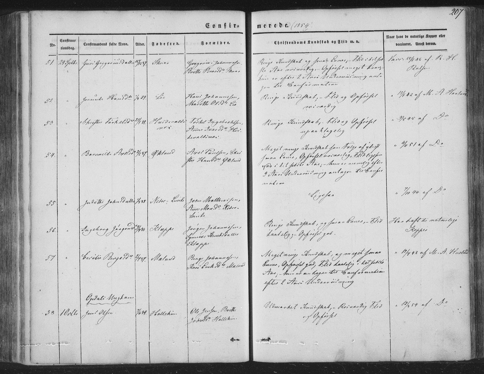 Tysnes sokneprestembete, AV/SAB-A-78601/H/Haa: Parish register (official) no. A 10, 1848-1859, p. 207