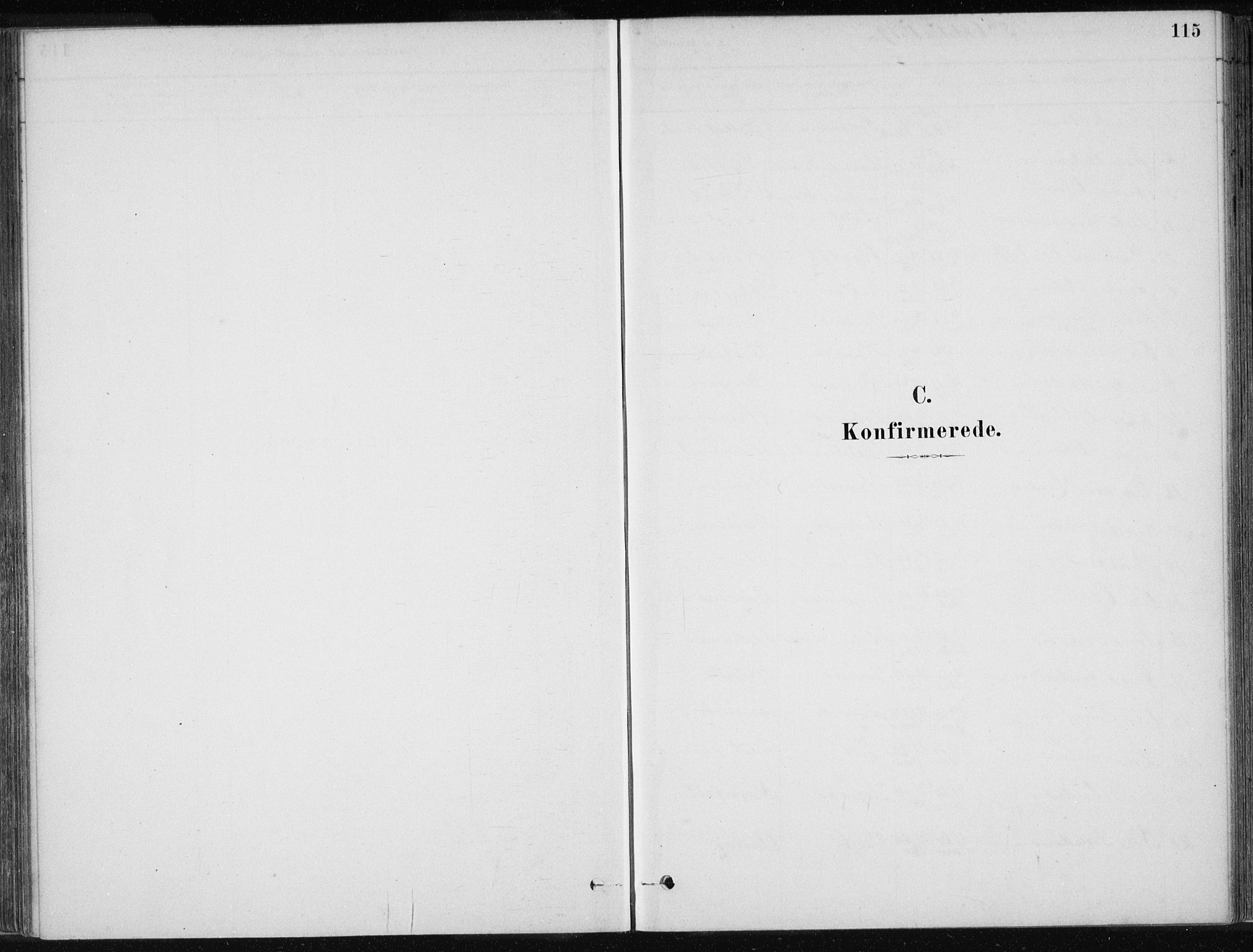 Ministerialprotokoller, klokkerbøker og fødselsregistre - Møre og Romsdal, AV/SAT-A-1454/586/L0987: Parish register (official) no. 586A13, 1879-1892, p. 115