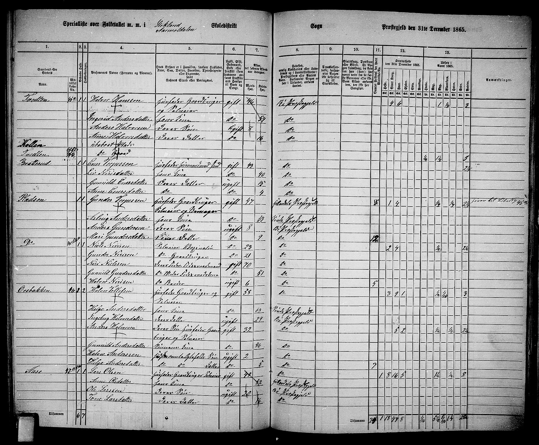 RA, 1865 census for Bø, 1865, p. 192