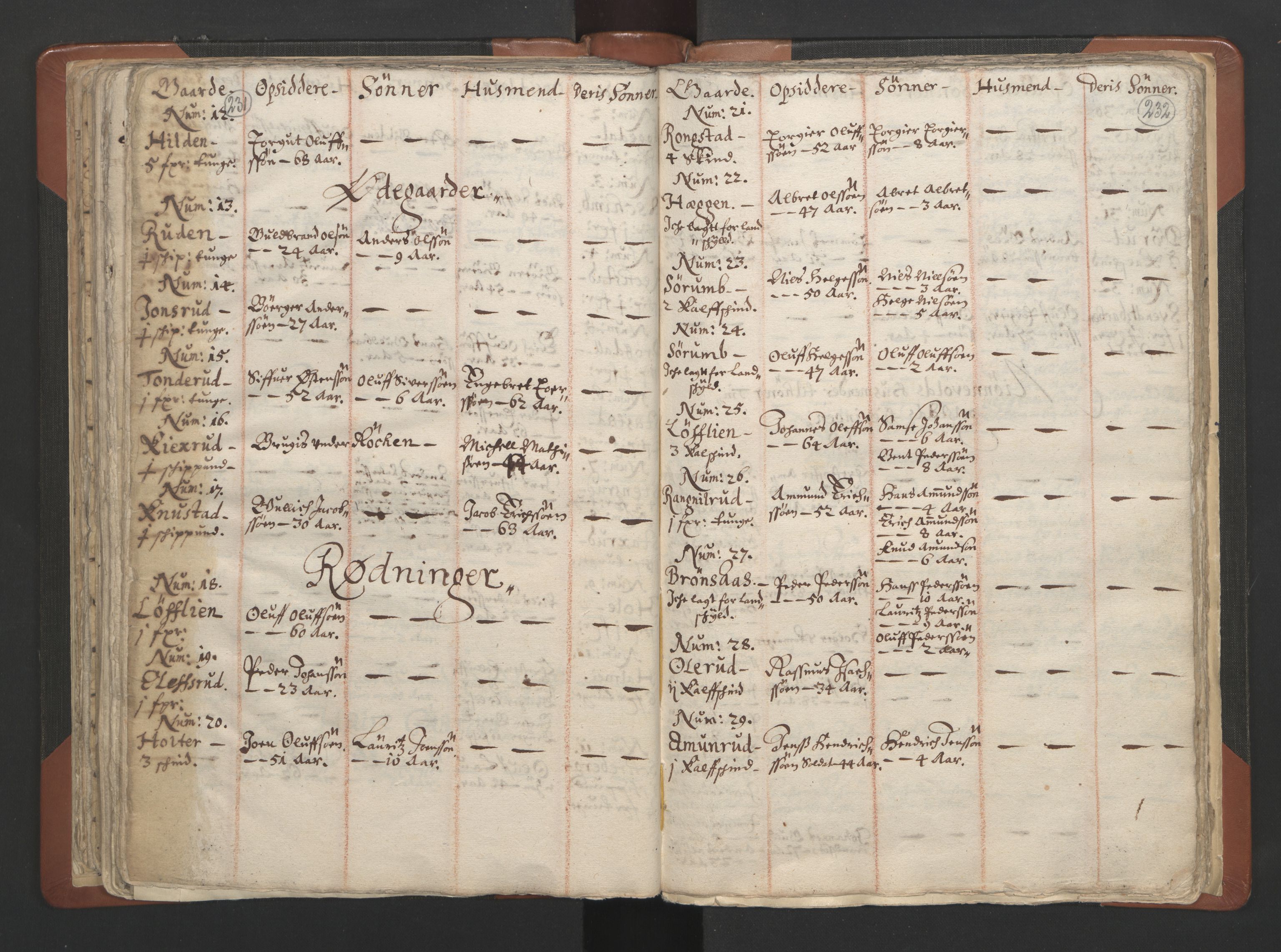 RA, Vicar's Census 1664-1666, no. 7: Hadeland deanery, 1664-1666, p. 231-232