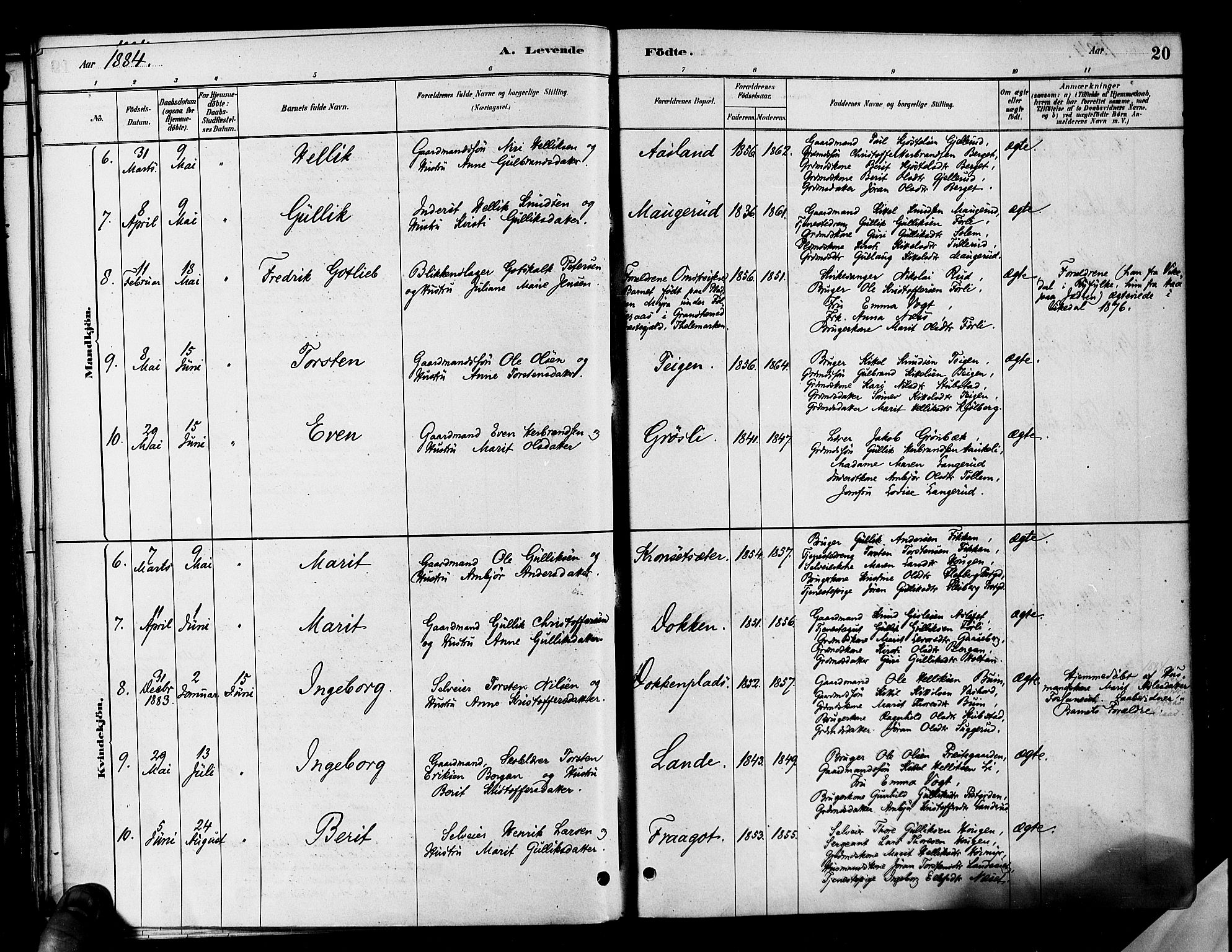 Flesberg kirkebøker, AV/SAKO-A-18/F/Fa/L0008: Parish register (official) no. I 8, 1879-1899, p. 20