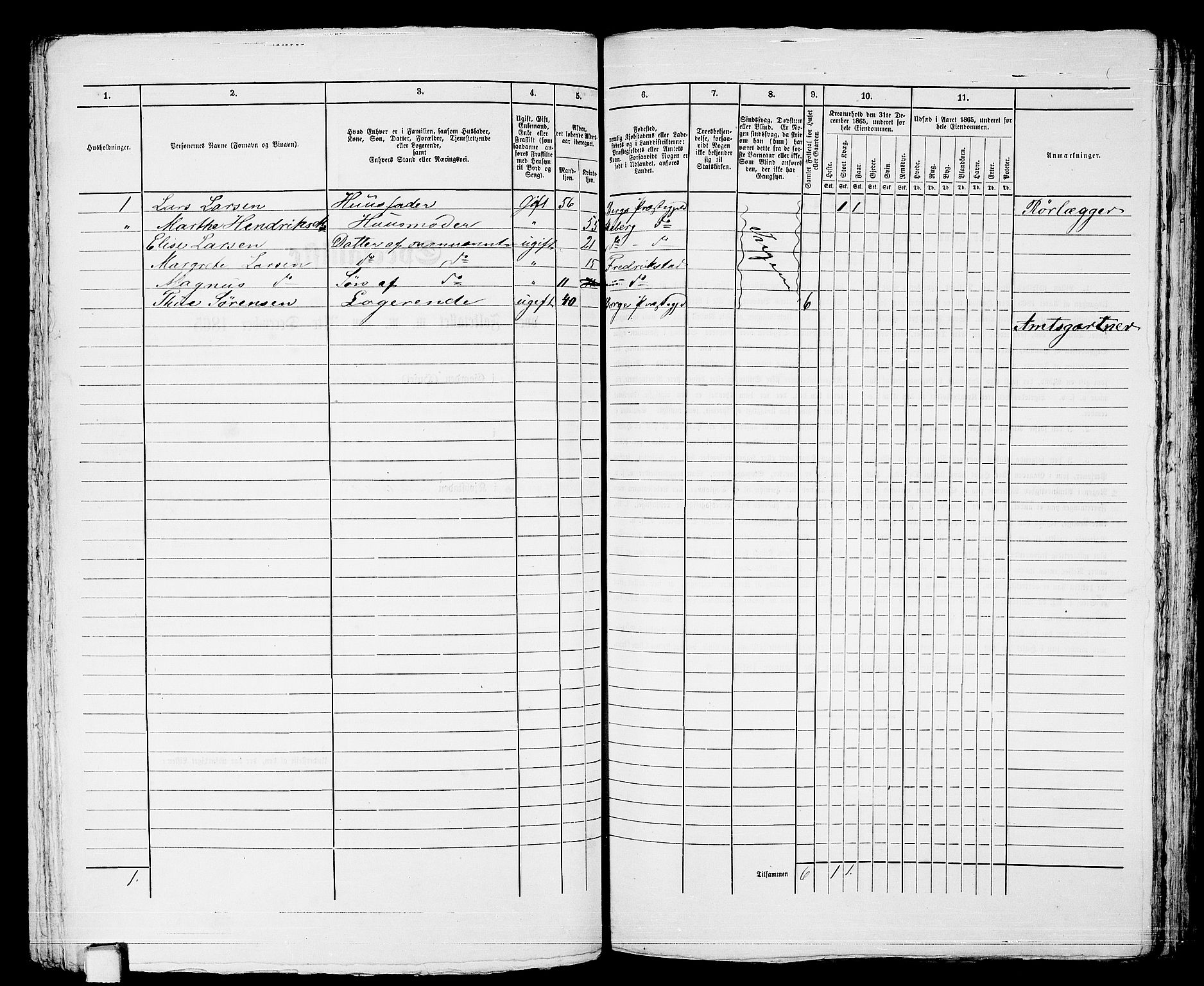 RA, 1865 census for Larvik, 1865, p. 298