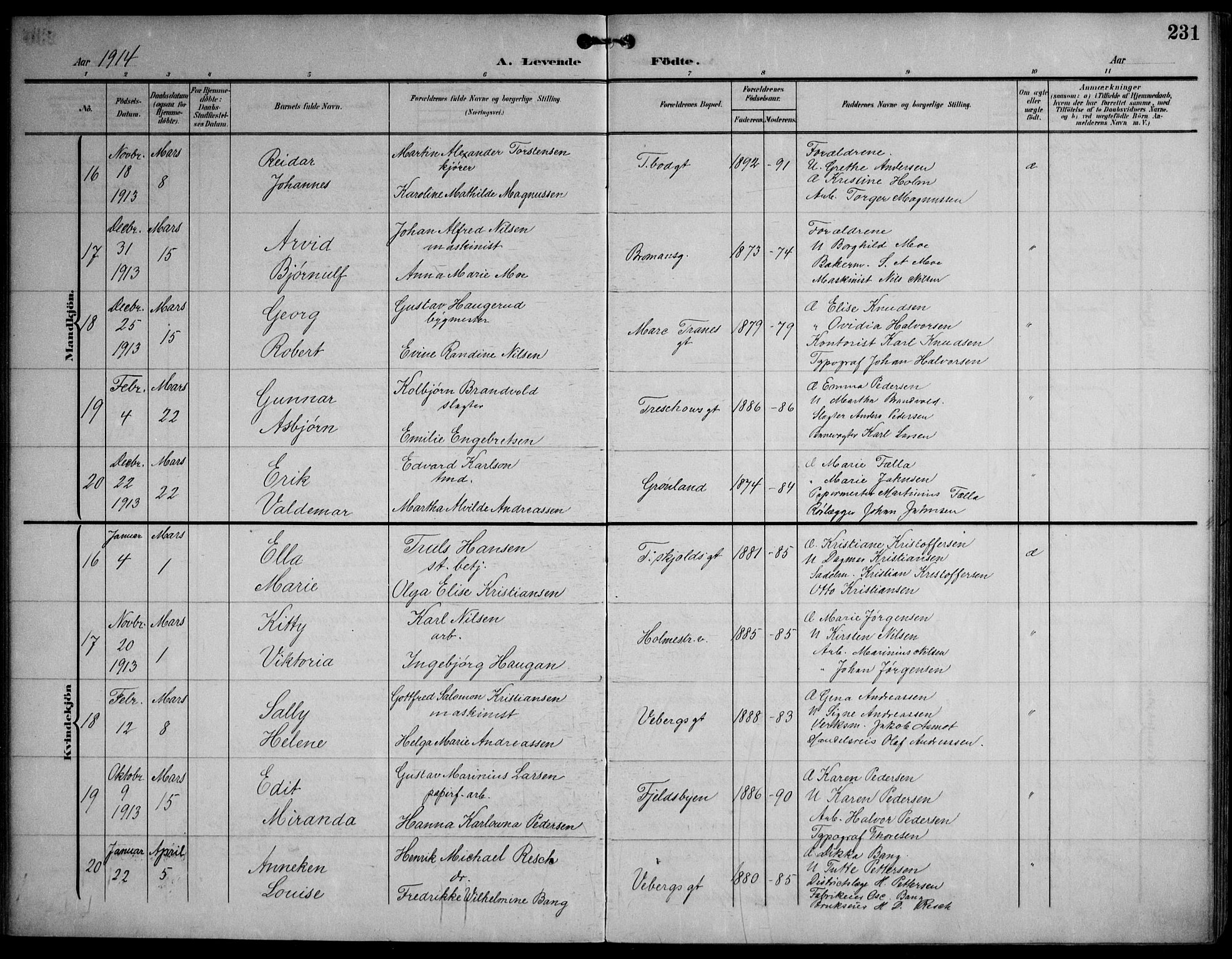 Strømsø kirkebøker, AV/SAKO-A-246/F/Fa/L0026: Parish register (official) no. I 26, 1905-1914, p. 231