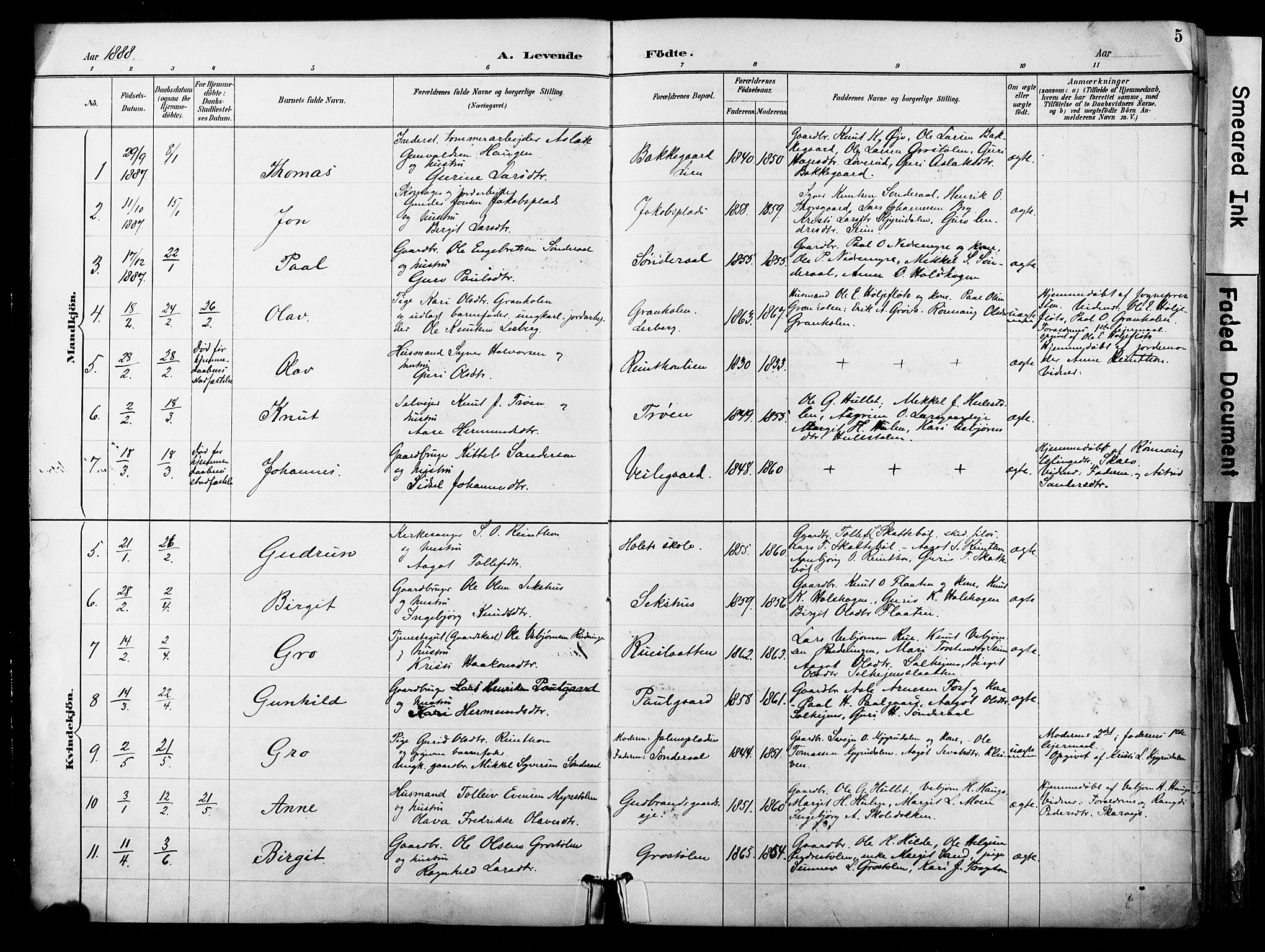 Hol kirkebøker, AV/SAKO-A-227/F/Fa/L0003: Parish register (official) no. I 3, 1887-1918, p. 5