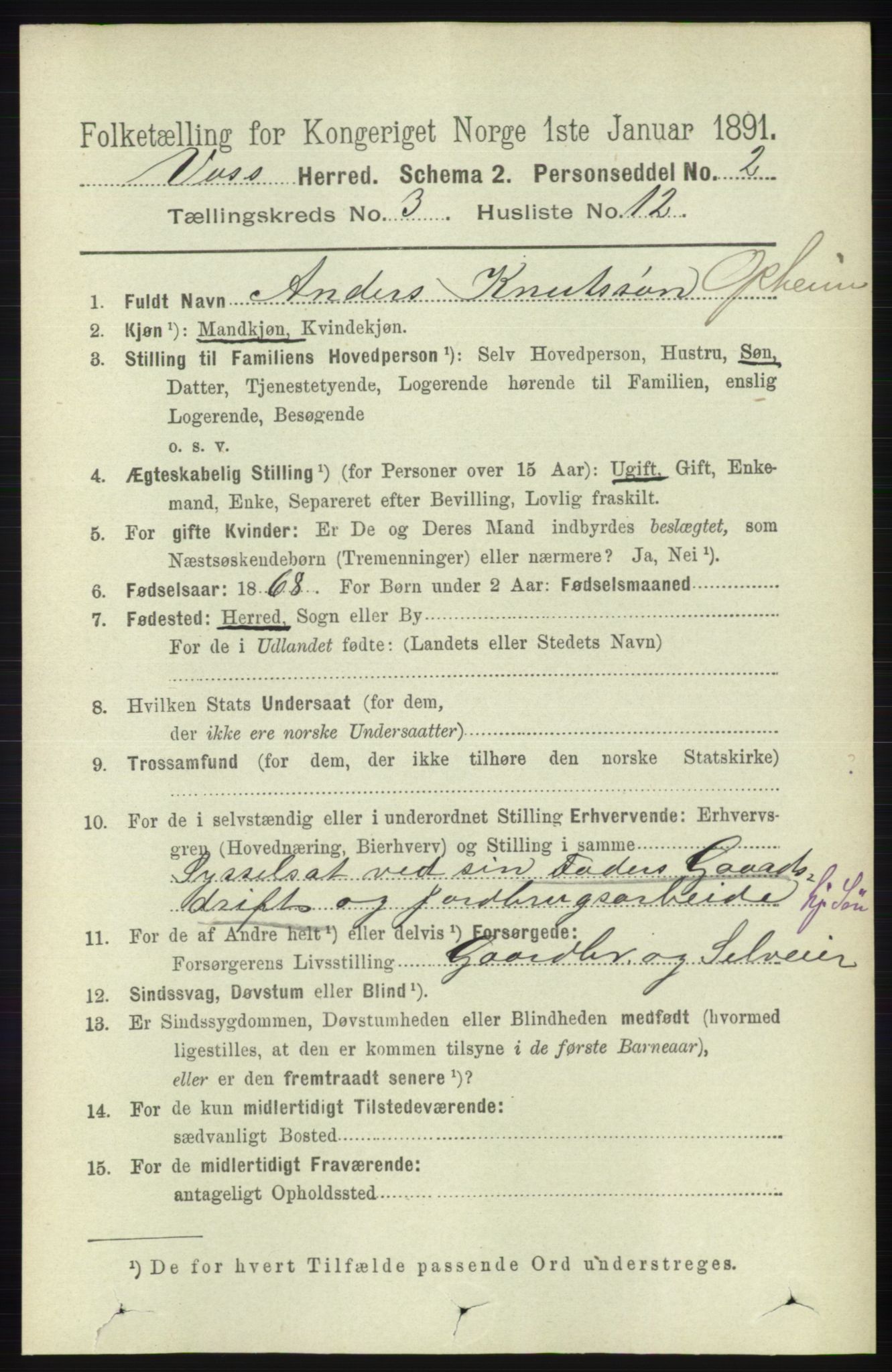 RA, 1891 census for 1235 Voss, 1891, p. 1264