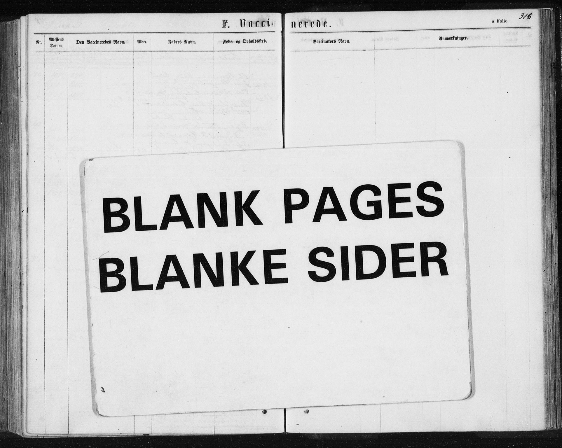 Ministerialprotokoller, klokkerbøker og fødselsregistre - Sør-Trøndelag, SAT/A-1456/685/L0971: Parish register (official) no. 685A08 /3, 1870-1879, p. 316