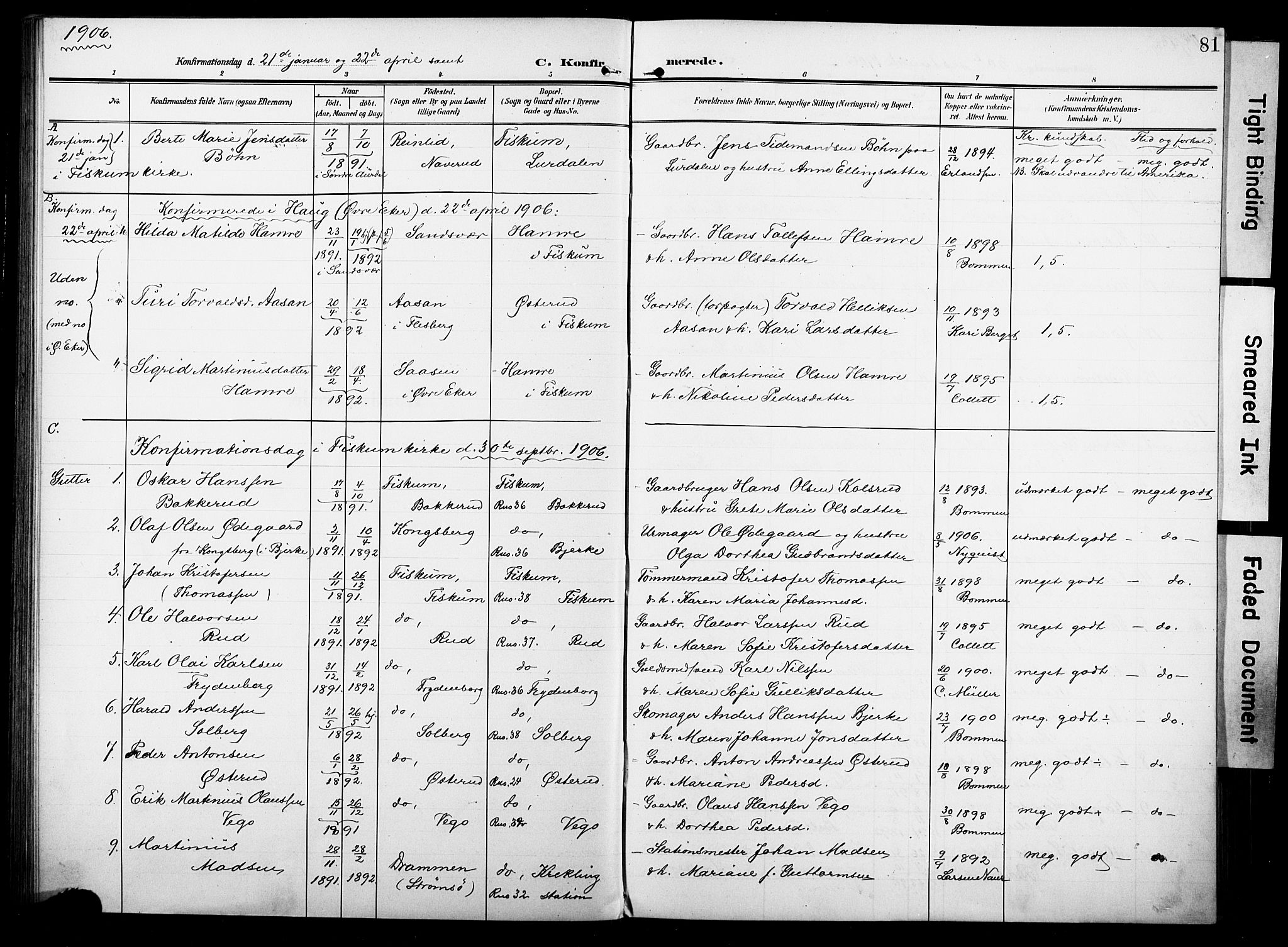 Fiskum kirkebøker, AV/SAKO-A-15/F/Fa/L0004: Parish register (official) no. 4, 1906-1924, p. 81