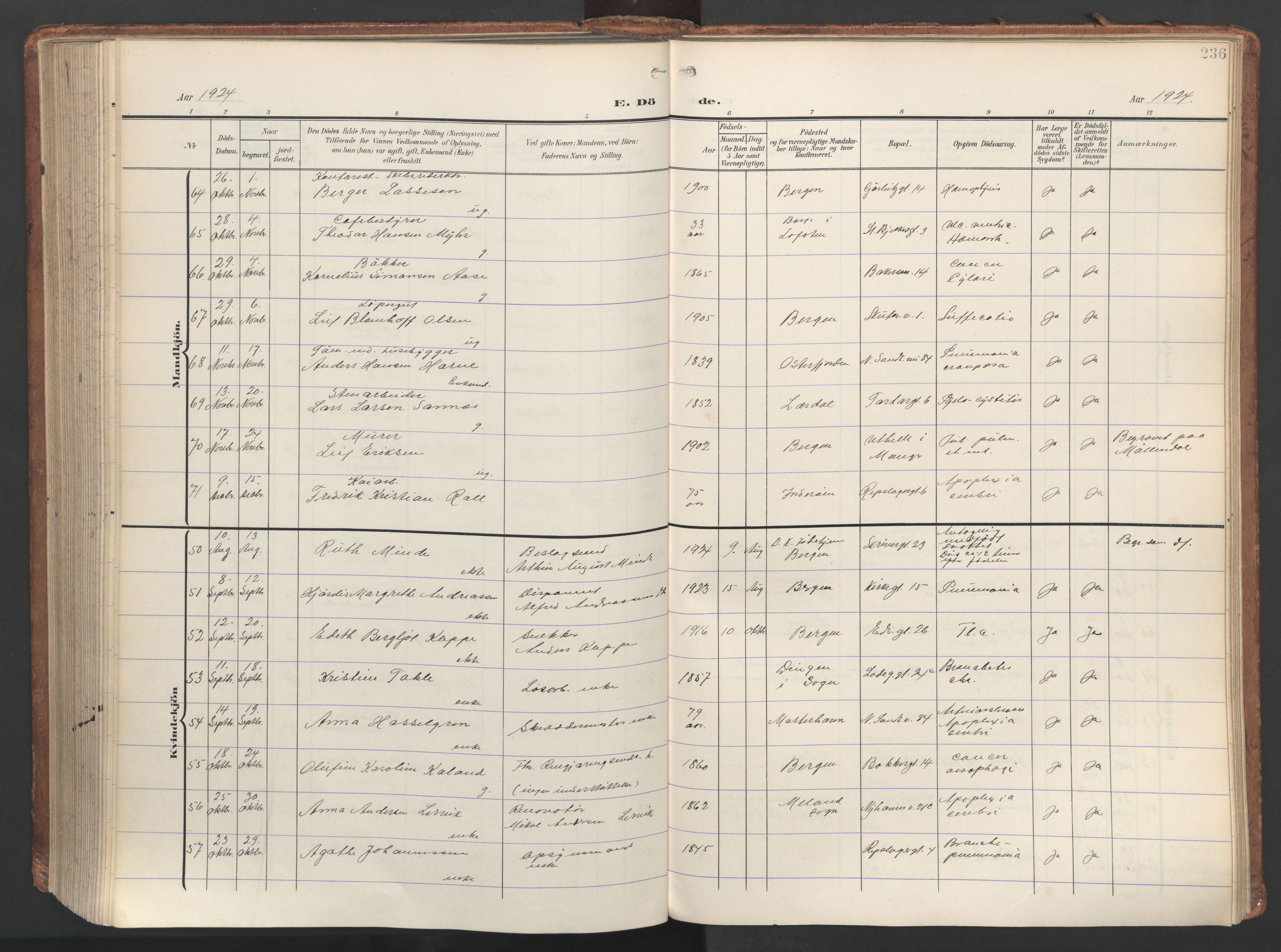 Sandviken Sokneprestembete, SAB/A-77601/H/Ha/L0019: Parish register (official) no. E 2, 1905-1933, p. 236