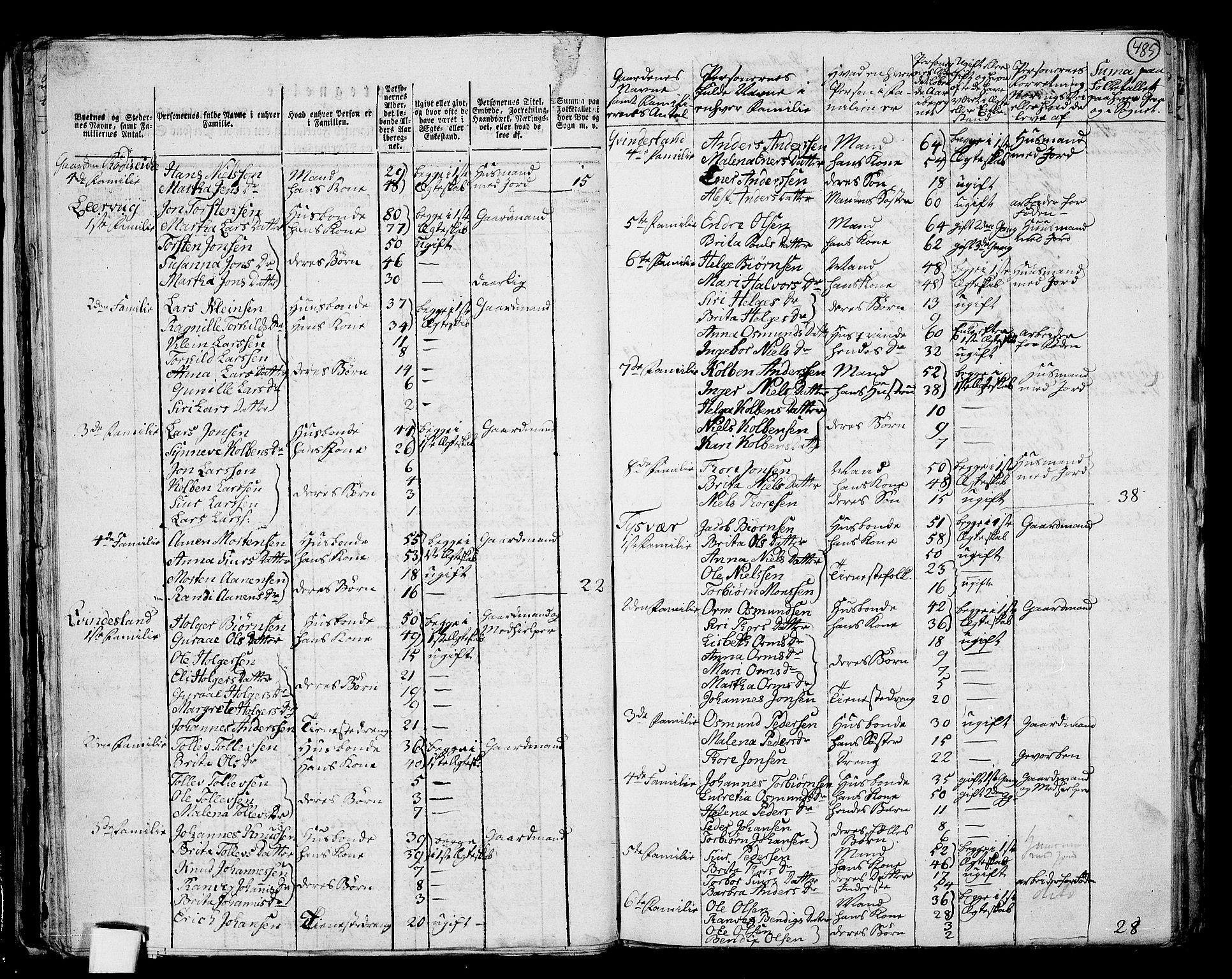 RA, 1801 census for 1154P Skjold, 1801, p. 484b-485a