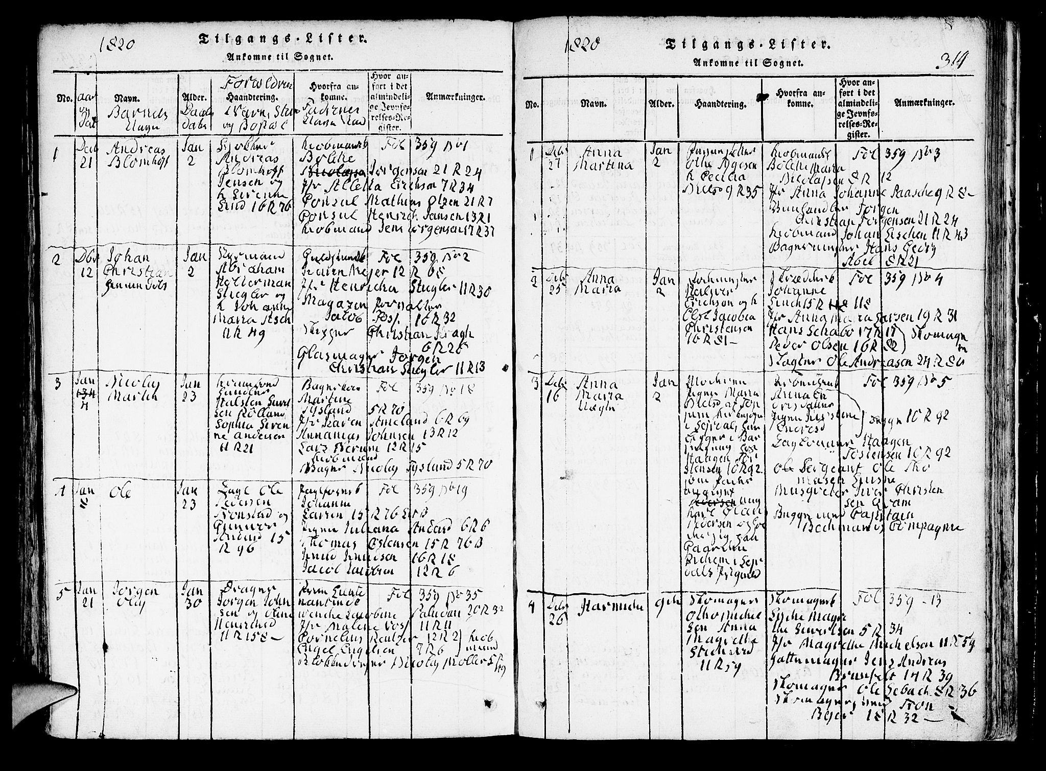 Domkirken sokneprestembete, AV/SAB-A-74801/H/Hab/L0001: Parish register (copy) no. A 1, 1816-1821, p. 314